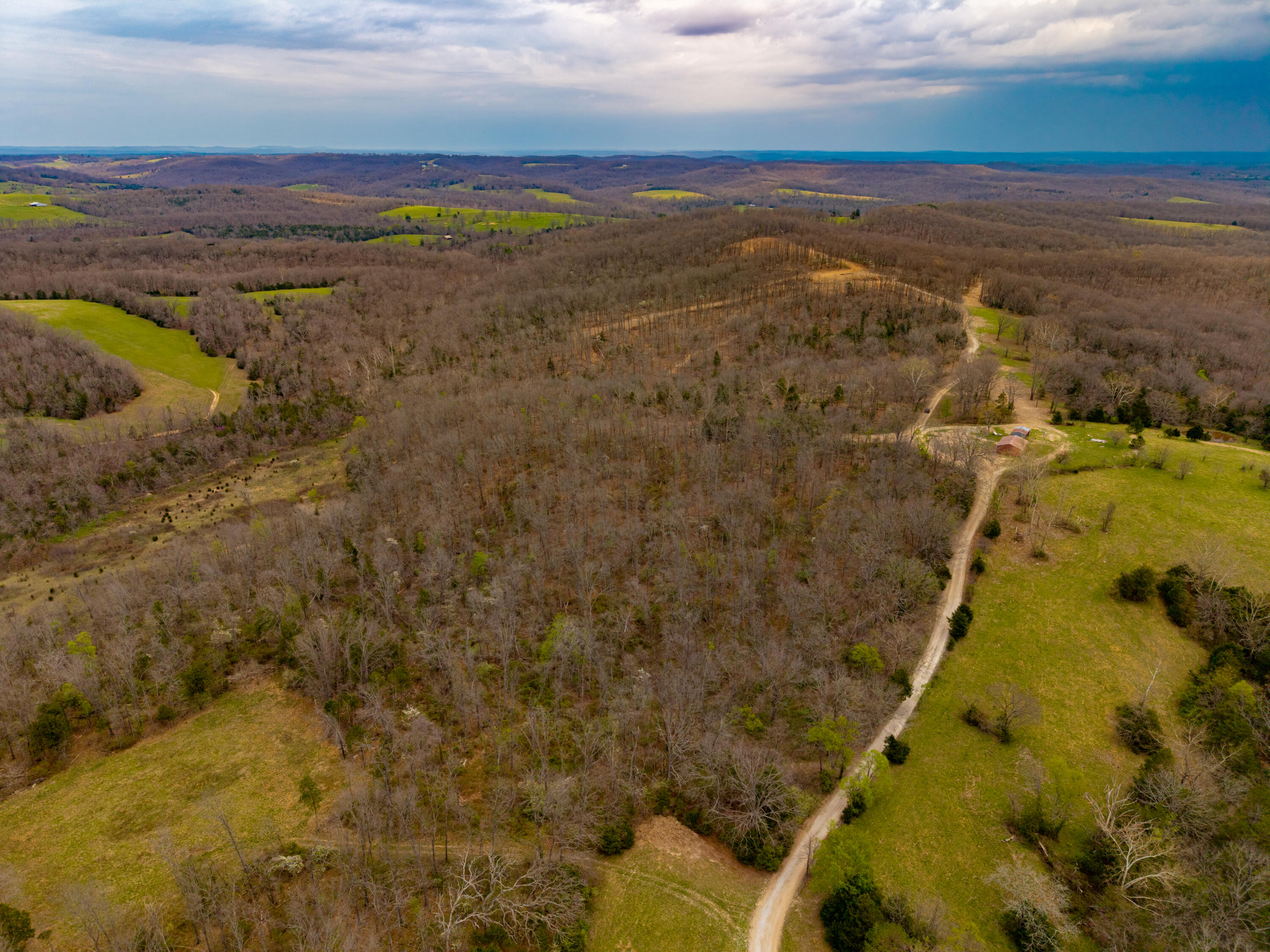Photo 5 - Land for sale – 000 E Highway 14   Ava, MO