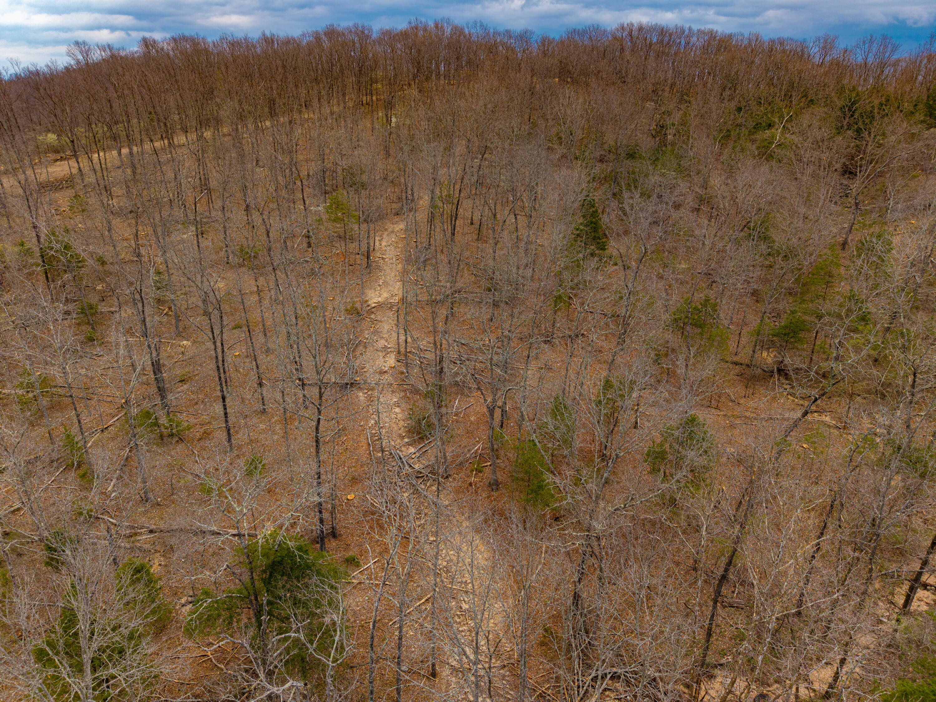 Photo 7 - Land for sale – 000 E Highway 14   Ava, MO