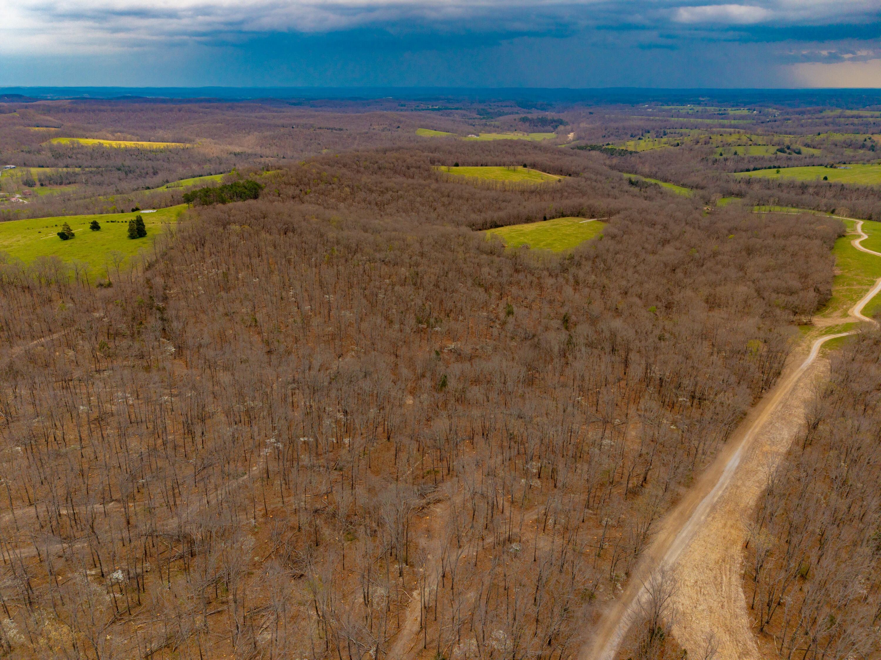 Photo 4 - Land for sale – 000 E Highway 14   Ava, MO