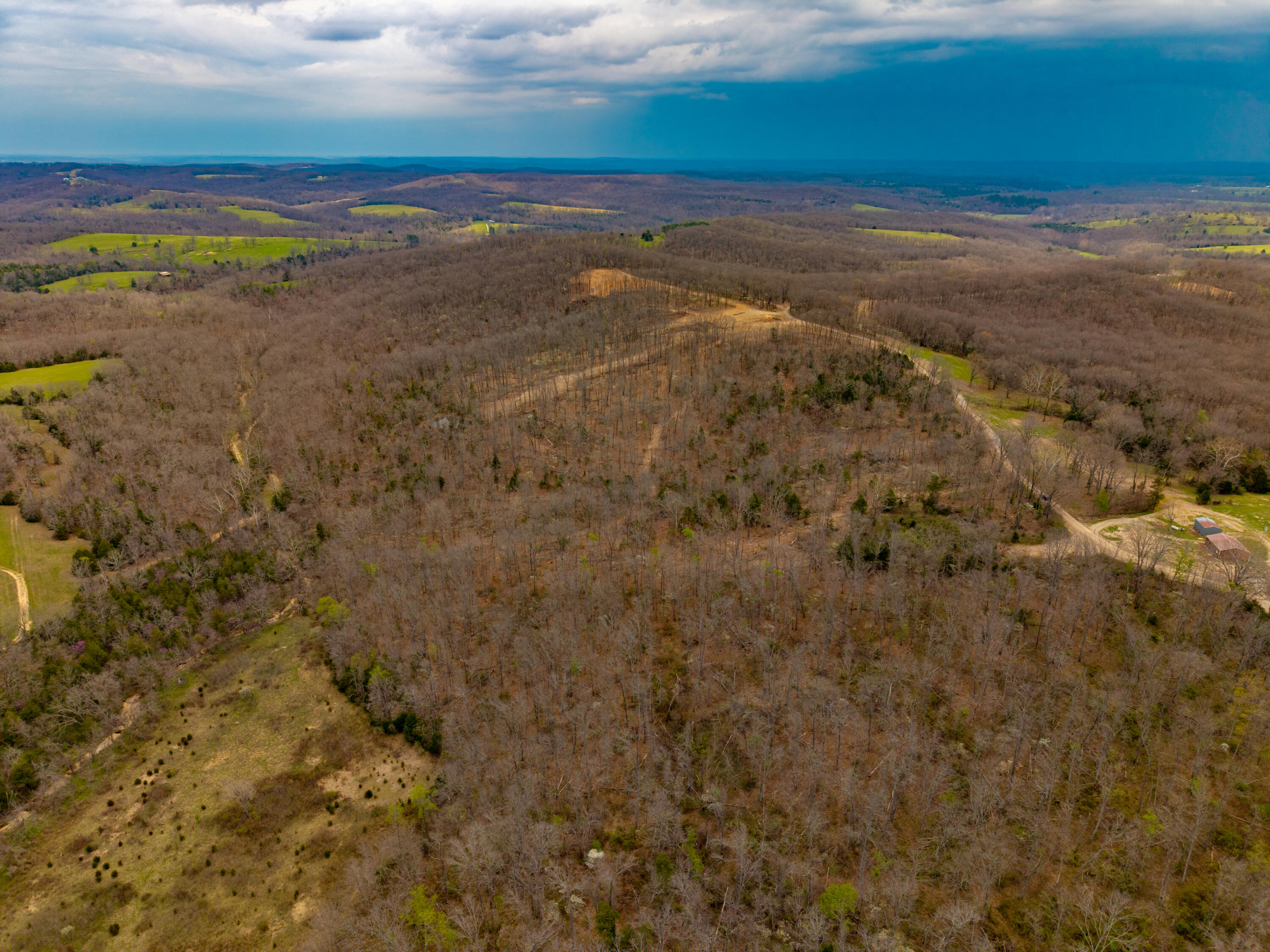 Photo 3 - Land for sale – 000 E Highway 14   Ava, MO