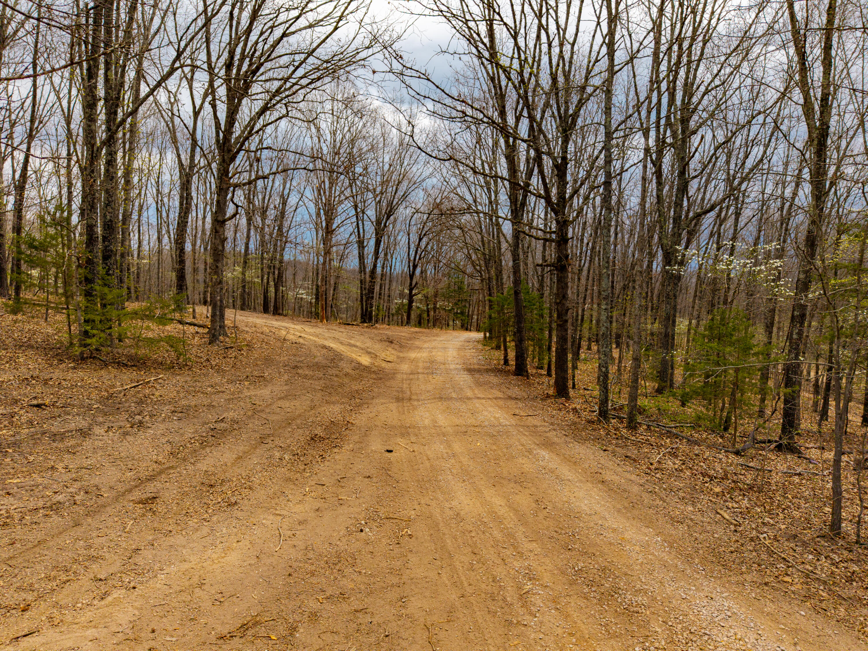 Photo 10 - Land for sale – 000 E Highway 14   Ava, MO