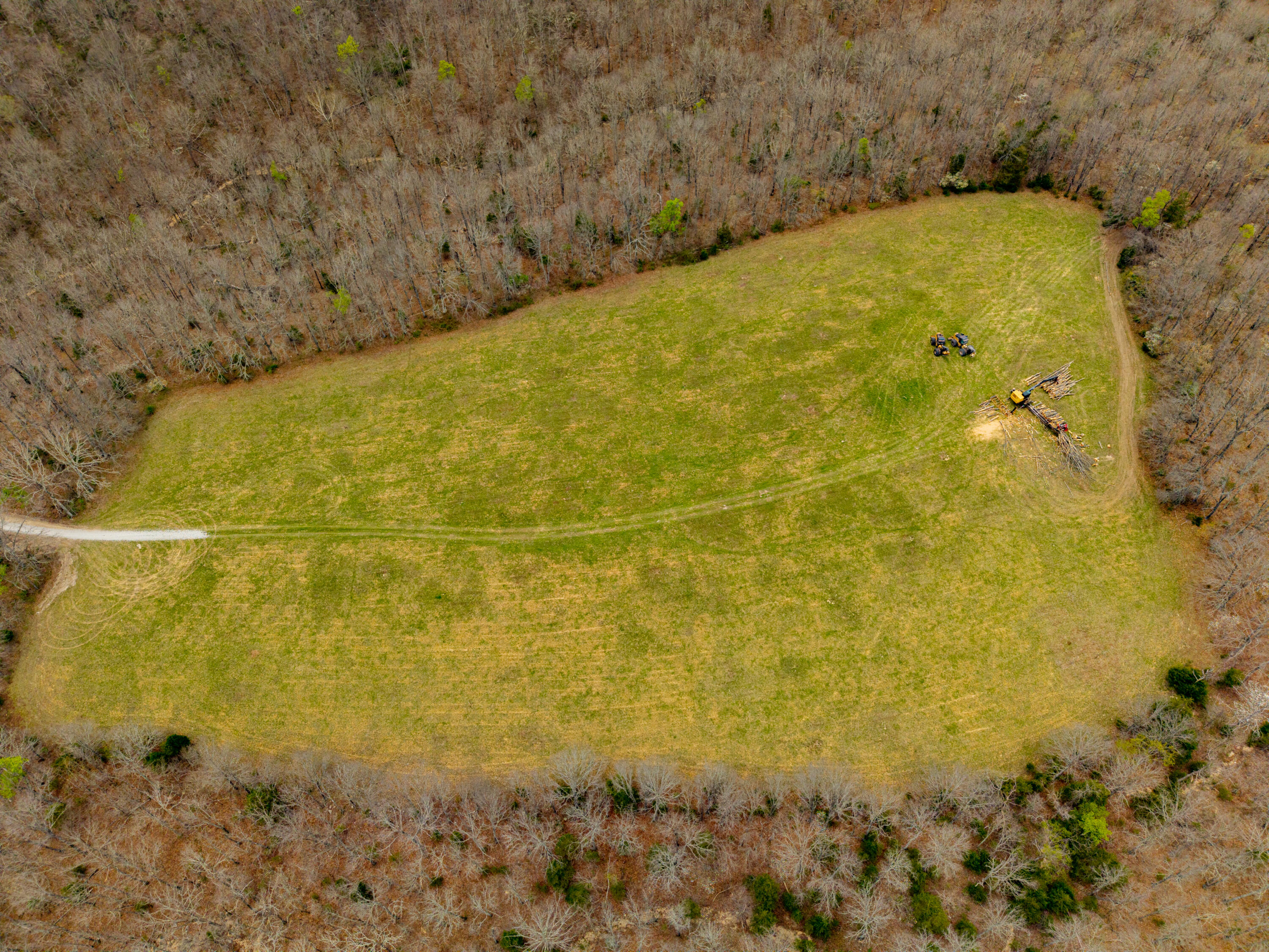 Photo 9 - Land for sale – 000 E Highway 14   Ava, MO