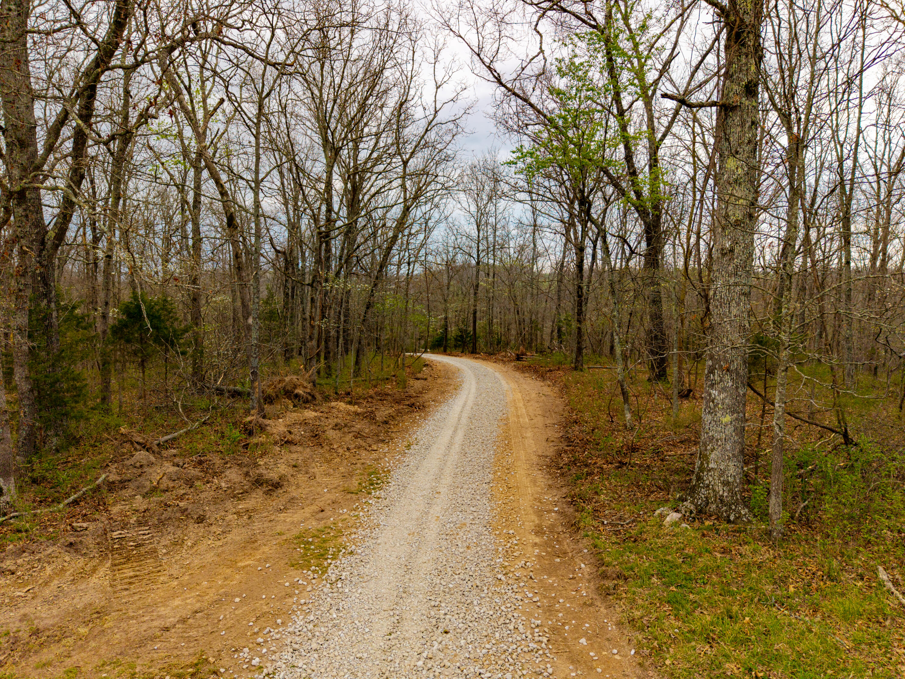 Photo 8 - Land for sale – 000 E Highway 14   Ava, MO