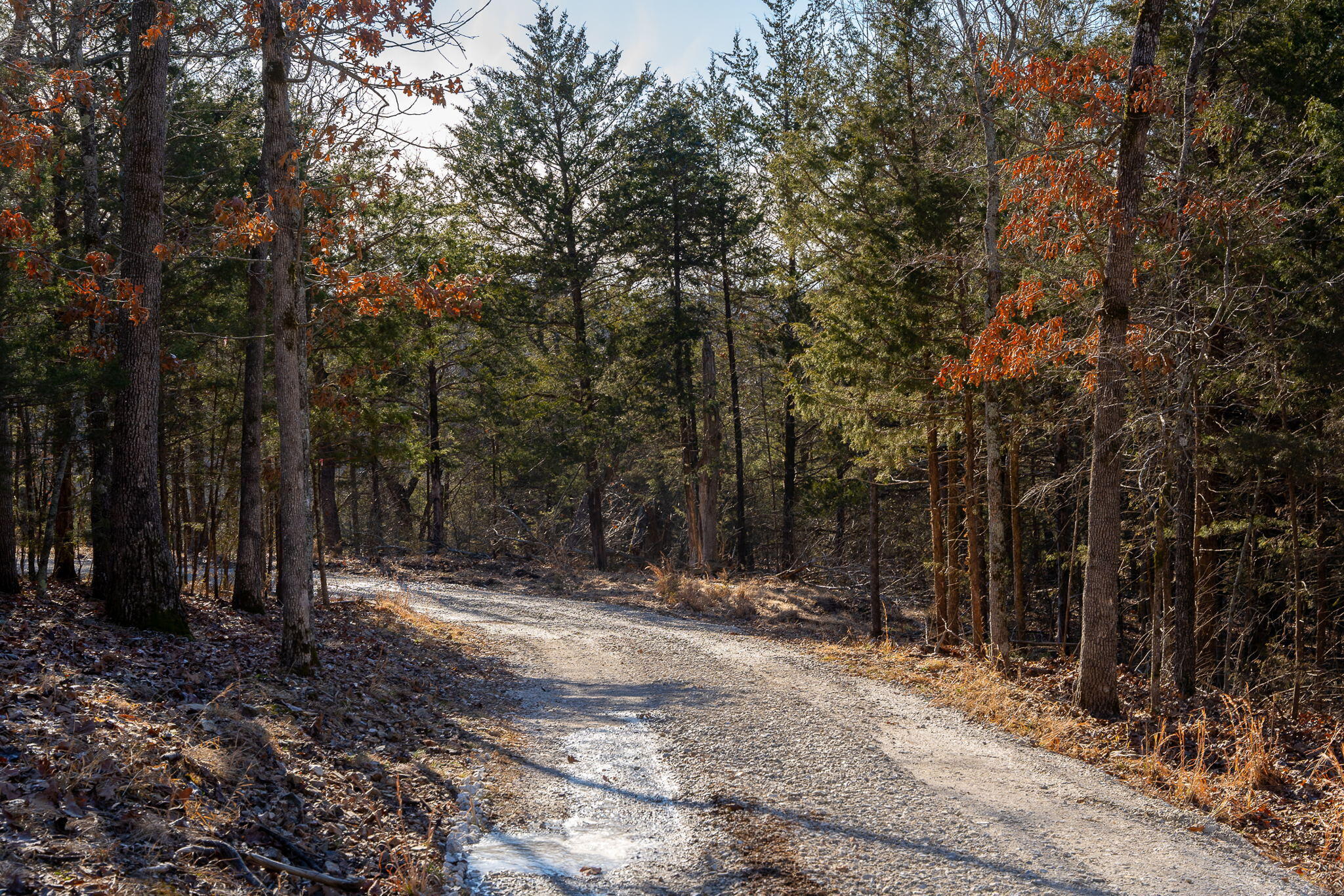 Photo 3 - Land for sale – Tbd  Northwoods Drive  Kimberling City, MO
