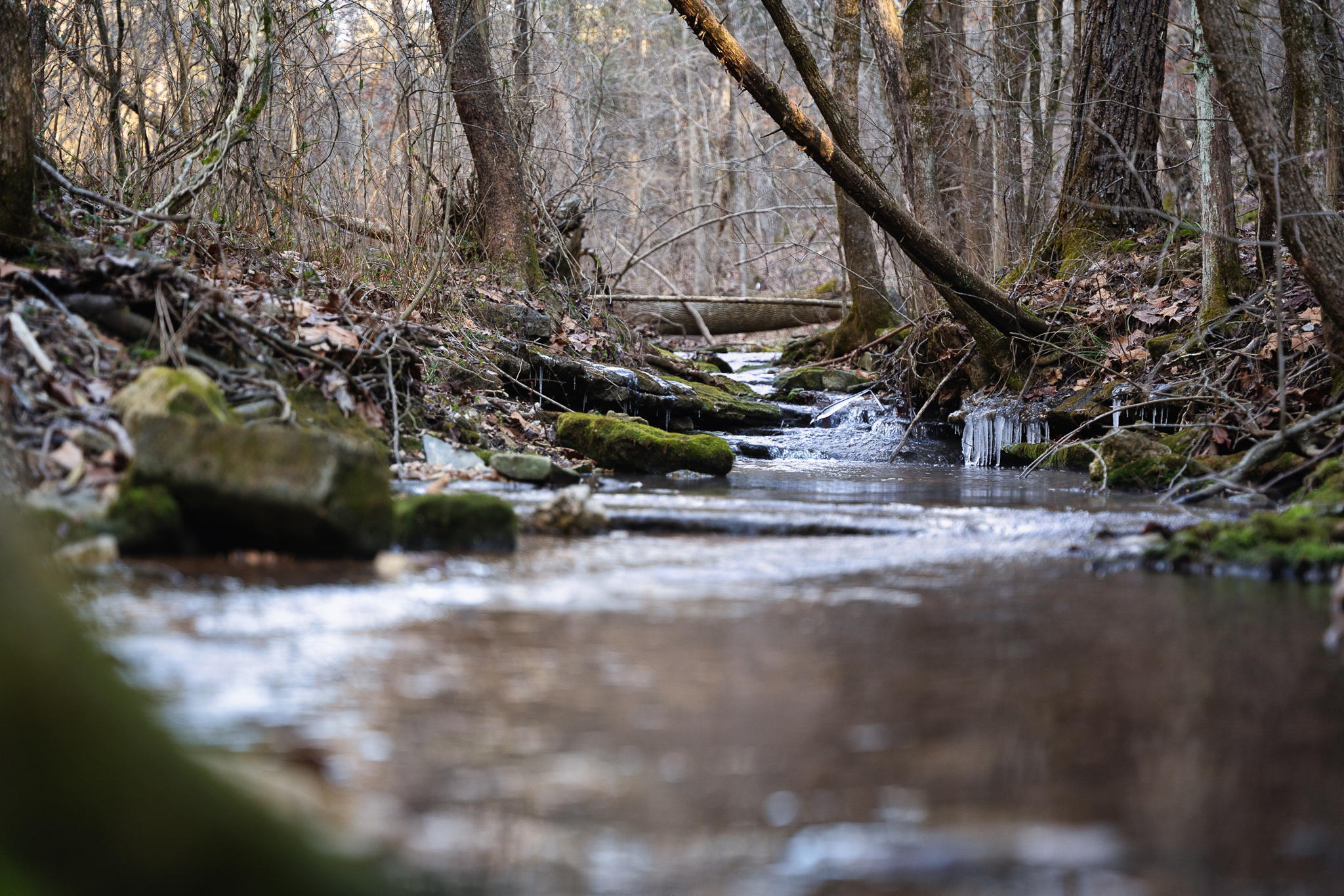 Photo 9 - Land for sale – Tbd  Northwoods Drive  Kimberling City, MO
