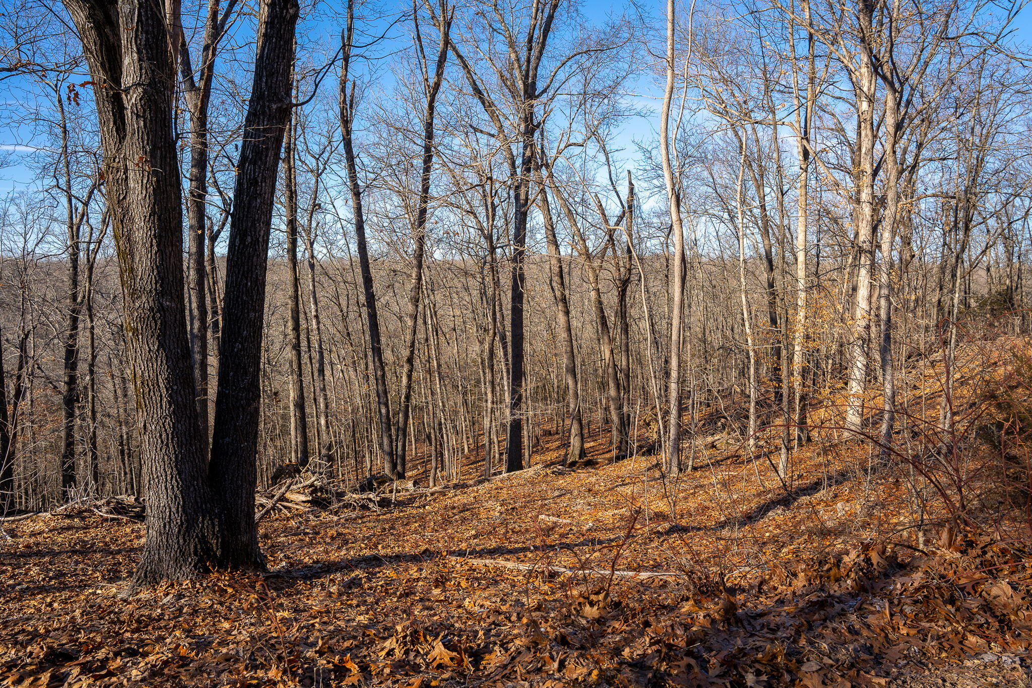 Photo 16 - Land for sale – Tbd  Northwoods Drive  Kimberling City, MO