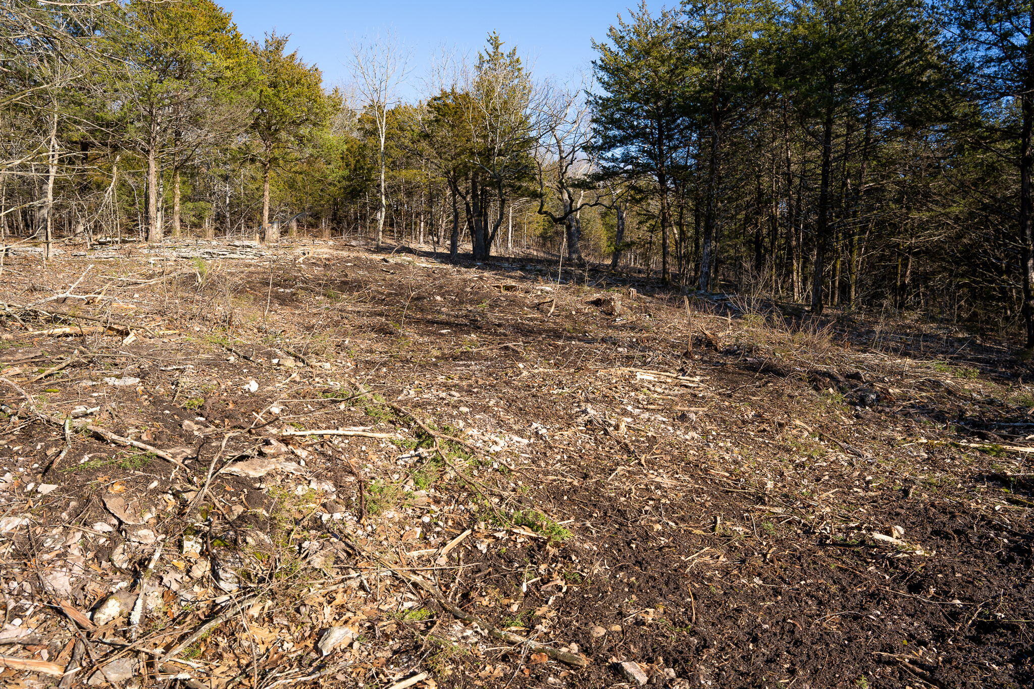 Photo 12 - Land for sale – Tbd  Northwoods Drive  Kimberling City, MO