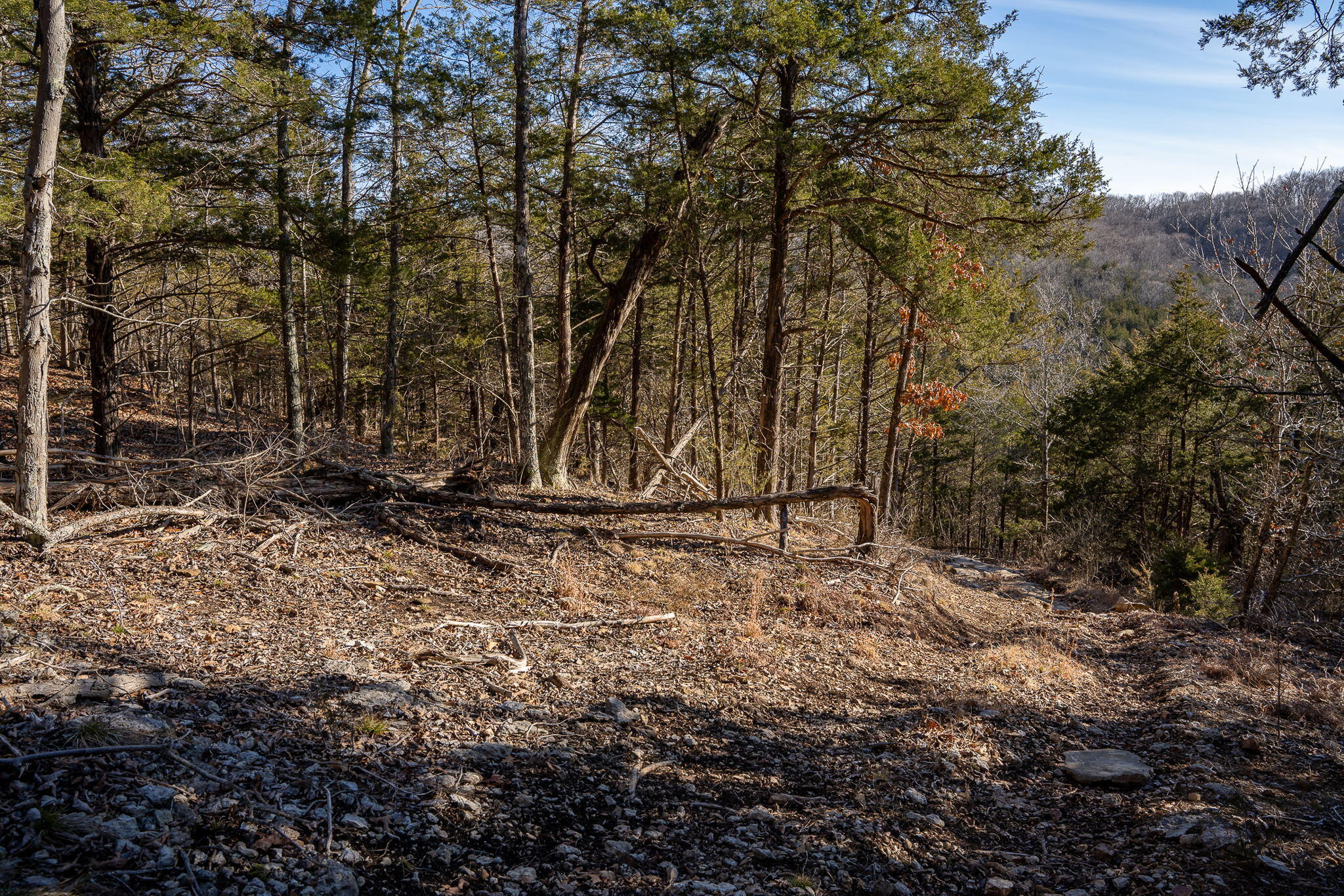 Photo 17 - Land for sale – Tbd  Northwoods Drive  Kimberling City, MO