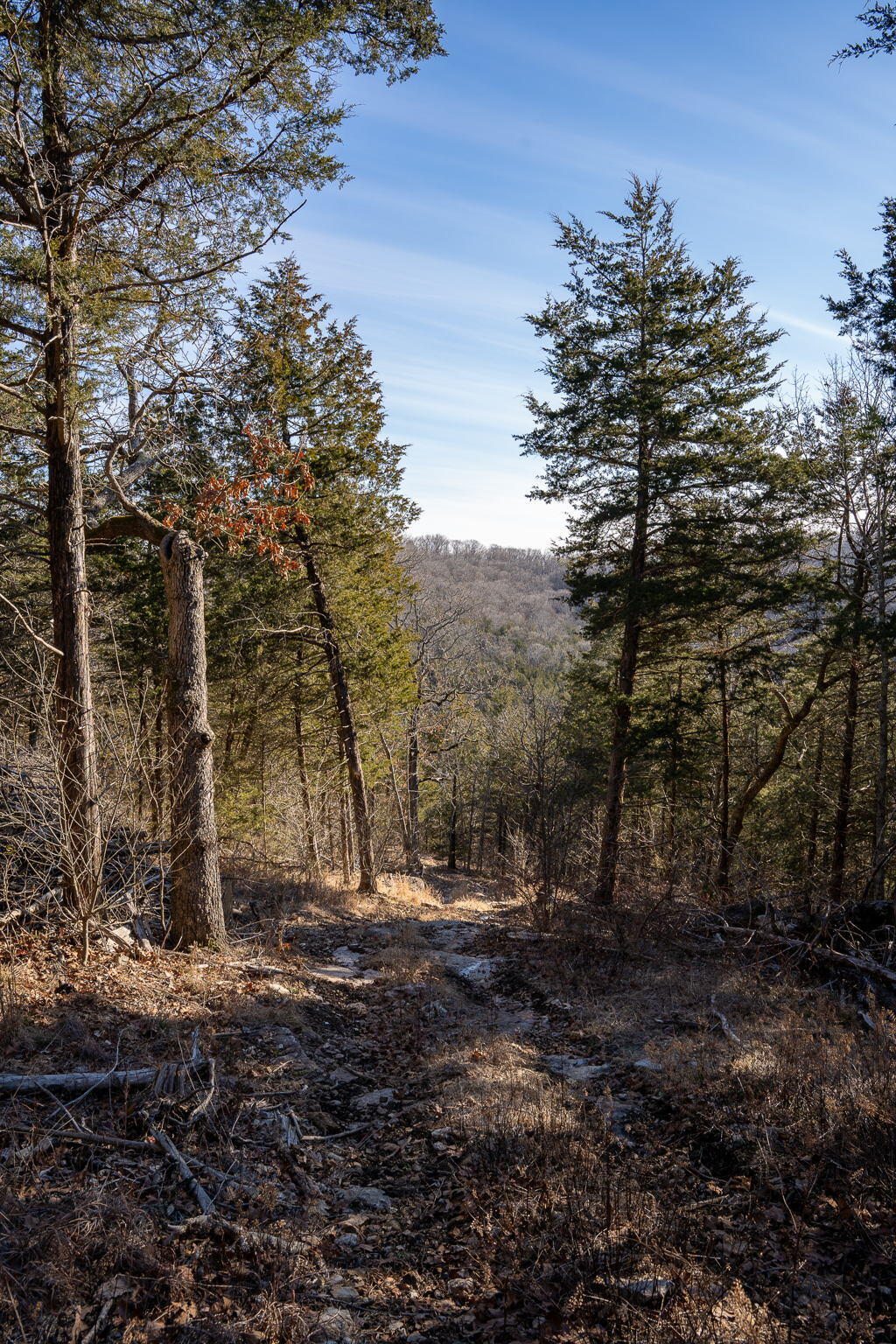 Photo 18 - Land for sale – Tbd  Northwoods Drive  Kimberling City, MO