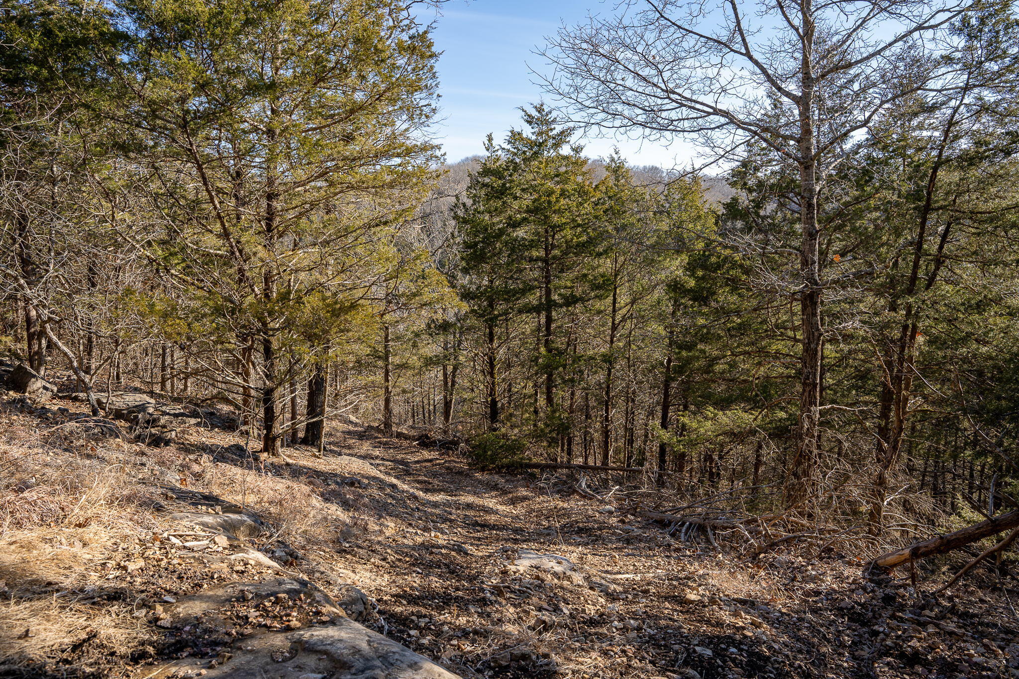 Photo 15 - Land for sale – Tbd  Northwoods Drive  Kimberling City, MO