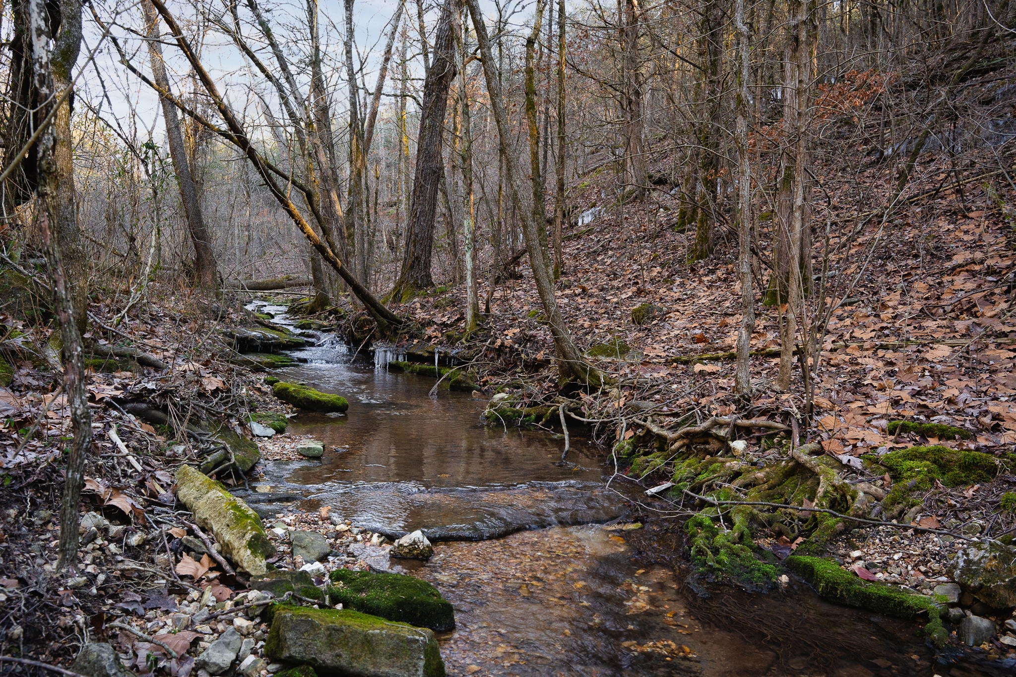 Photo 10 - Land for sale – Tbd  Northwoods Drive  Kimberling City, MO