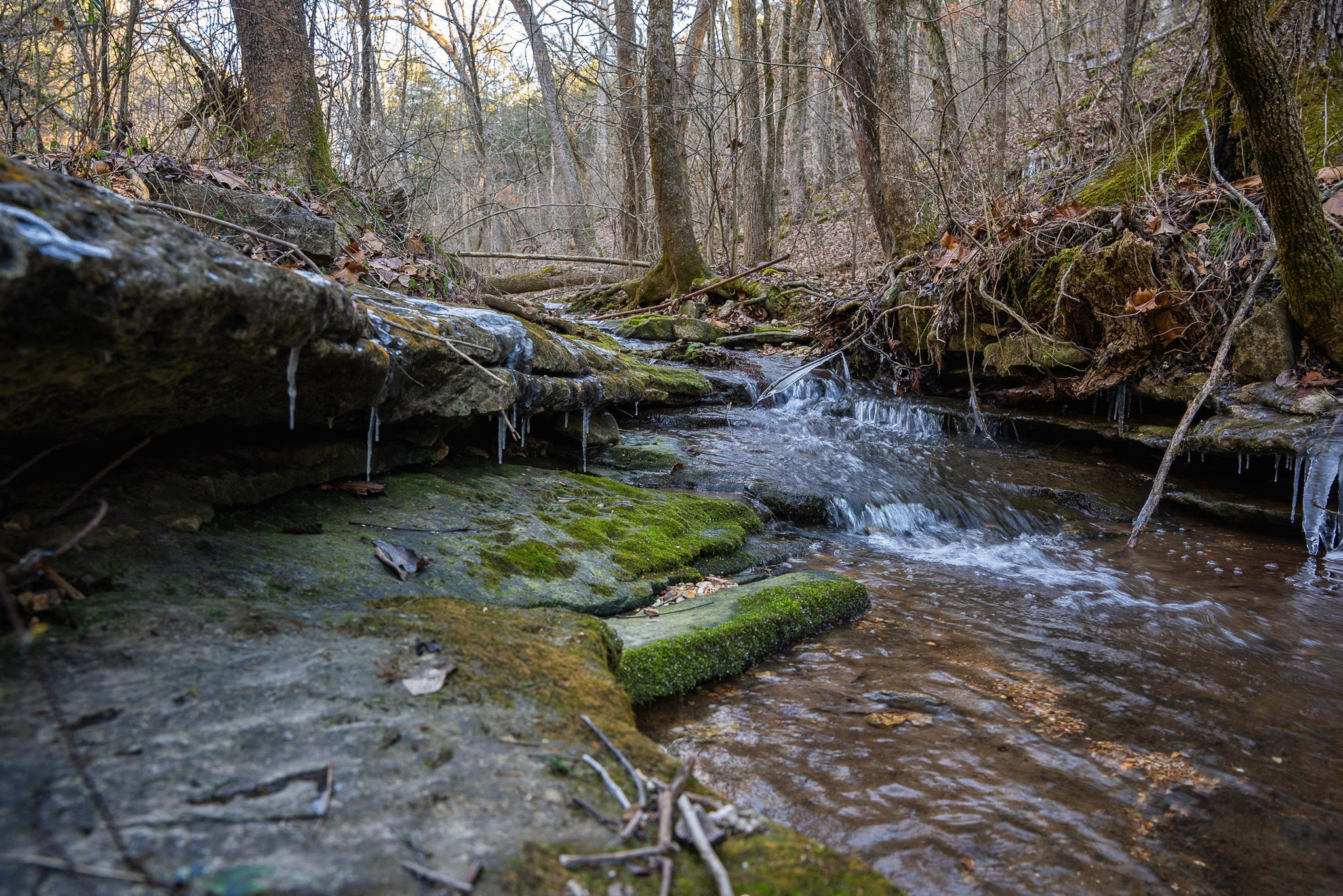Photo 13 - Land for sale – Tbd  Northwoods Drive  Kimberling City, MO