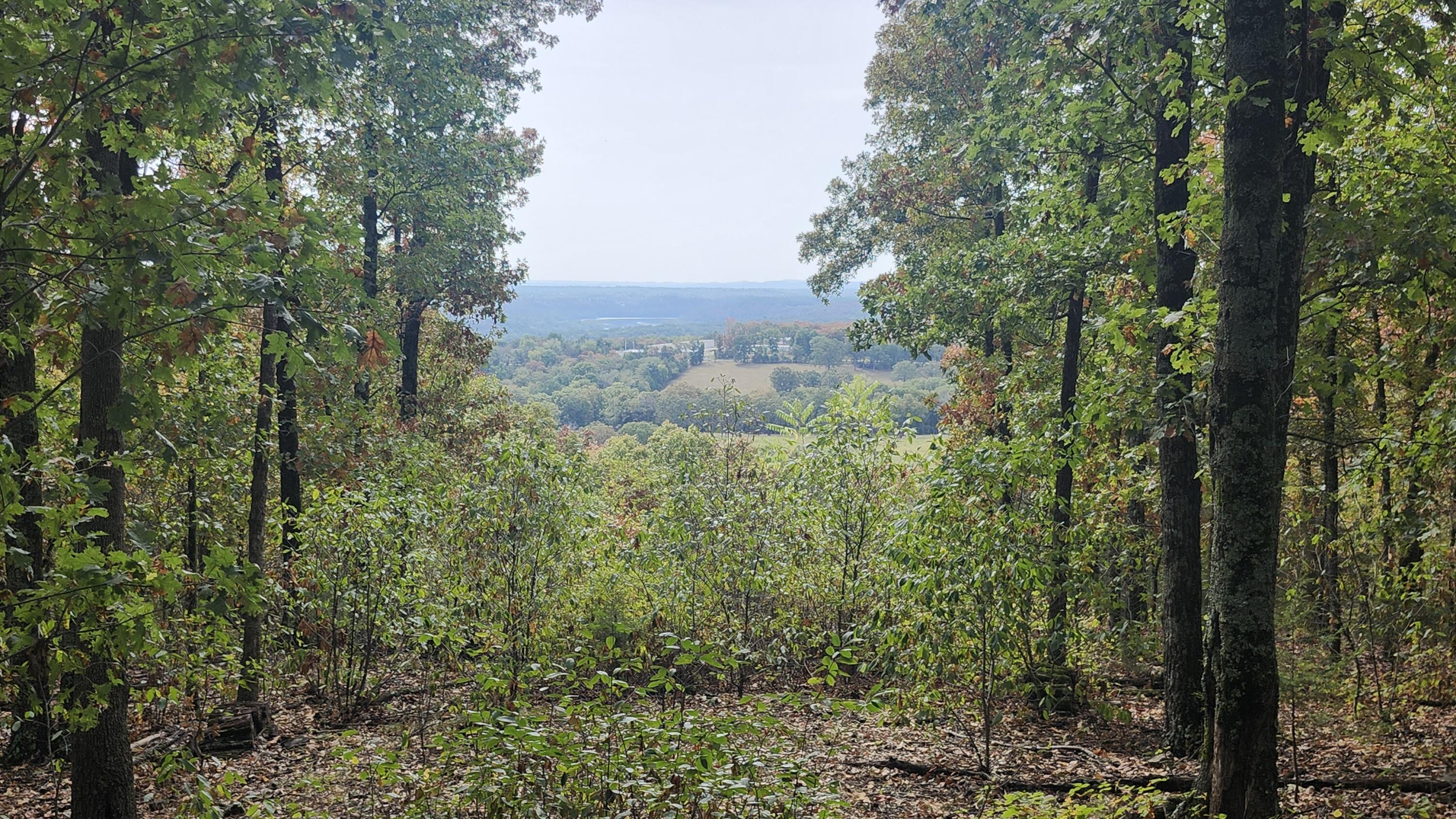 Photo 27 - Land for sale – 685  Ingenthron Lane  Forsyth, MO