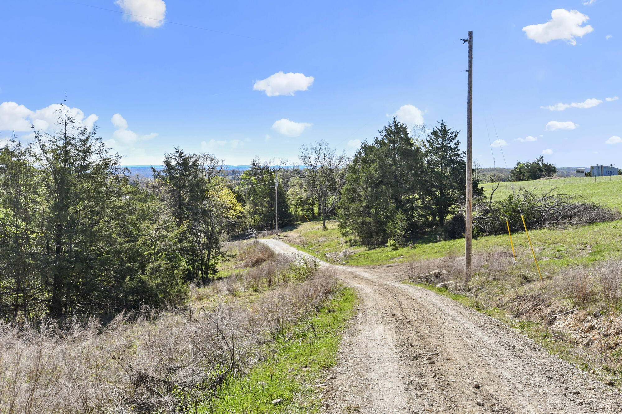 Photo 18 - Land for sale – 685  Ingenthron Lane  Forsyth, MO