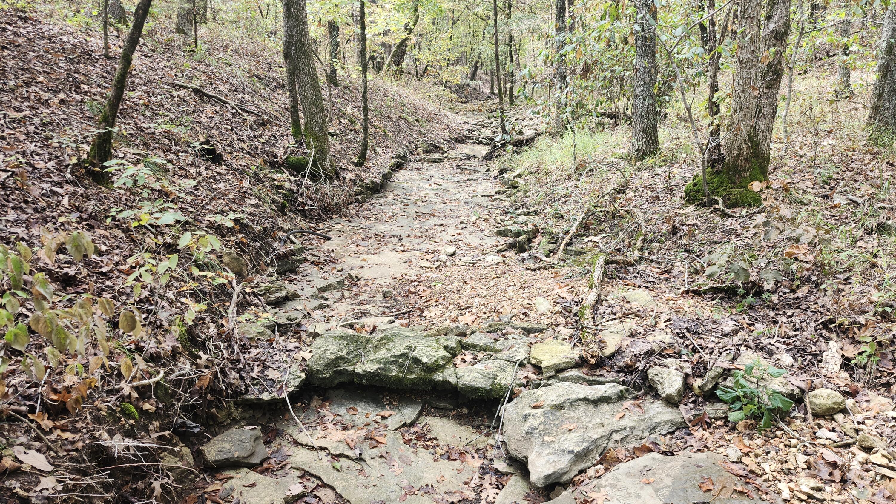 Photo 30 - Land for sale – 685  Ingenthron Lane  Forsyth, MO