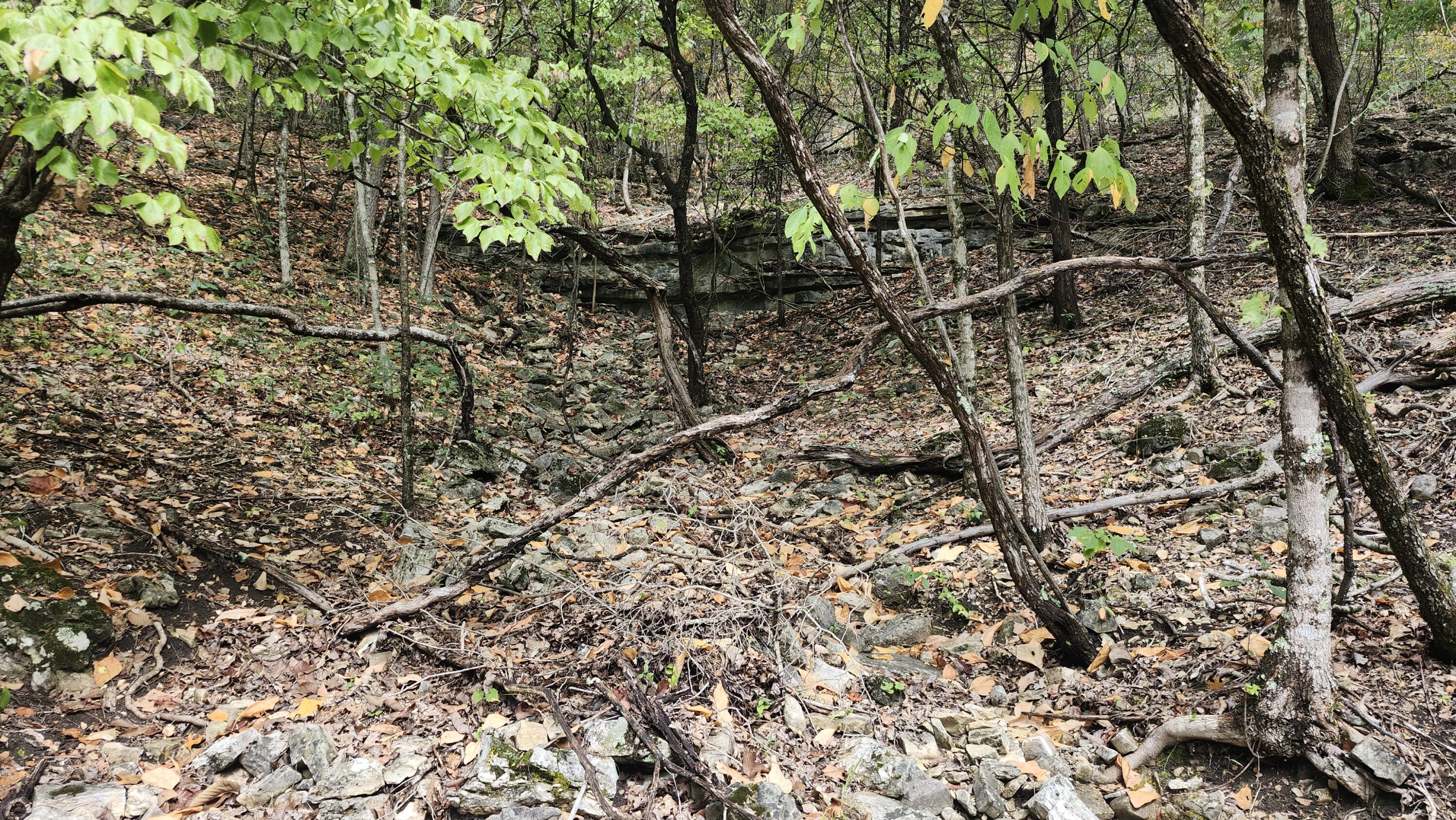 Photo 36 - Land for sale – 685  Ingenthron Lane  Forsyth, MO