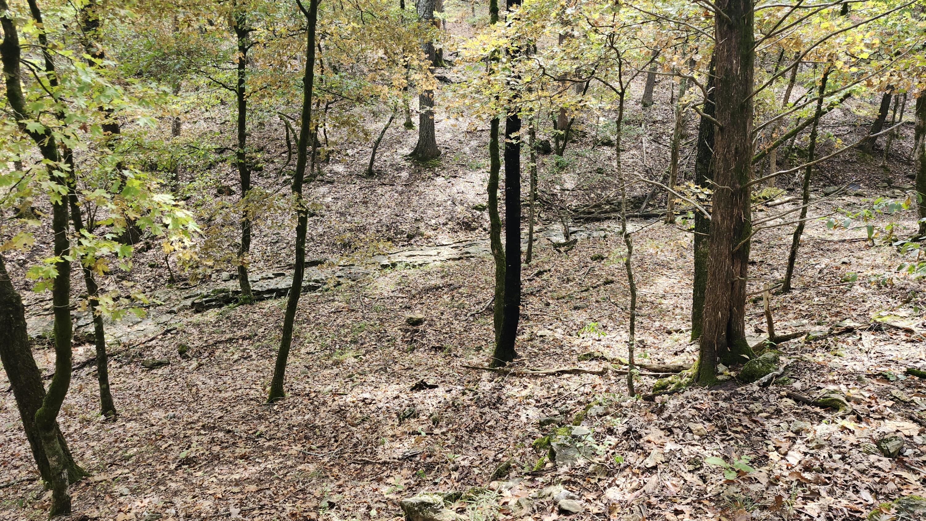 Photo 23 - Land for sale – 685  Ingenthron Lane  Forsyth, MO
