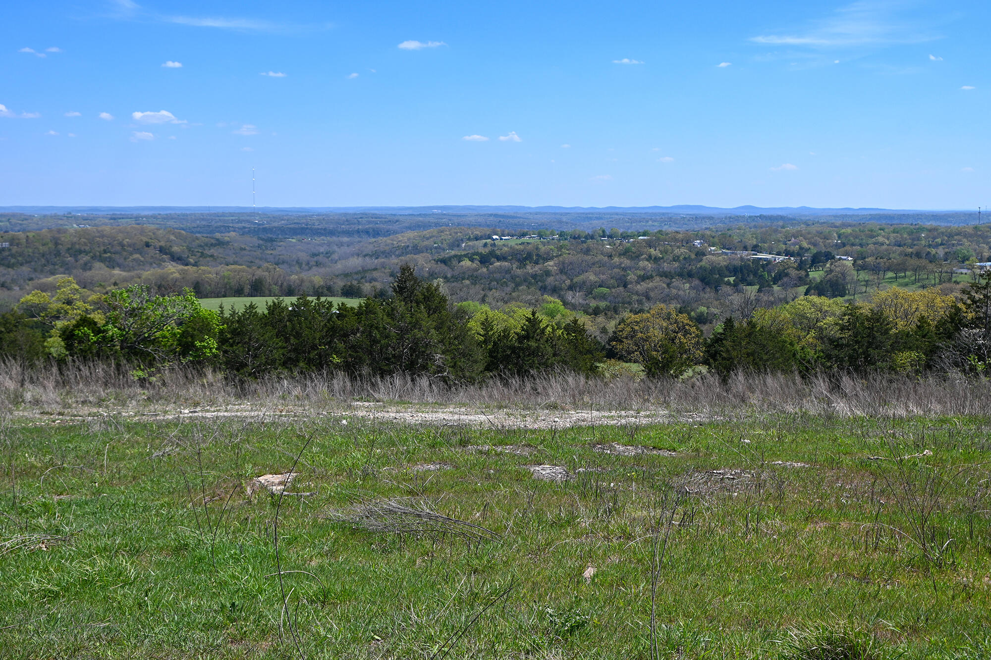 Photo 32 - Land for sale – 685  Ingenthron Lane  Forsyth, MO