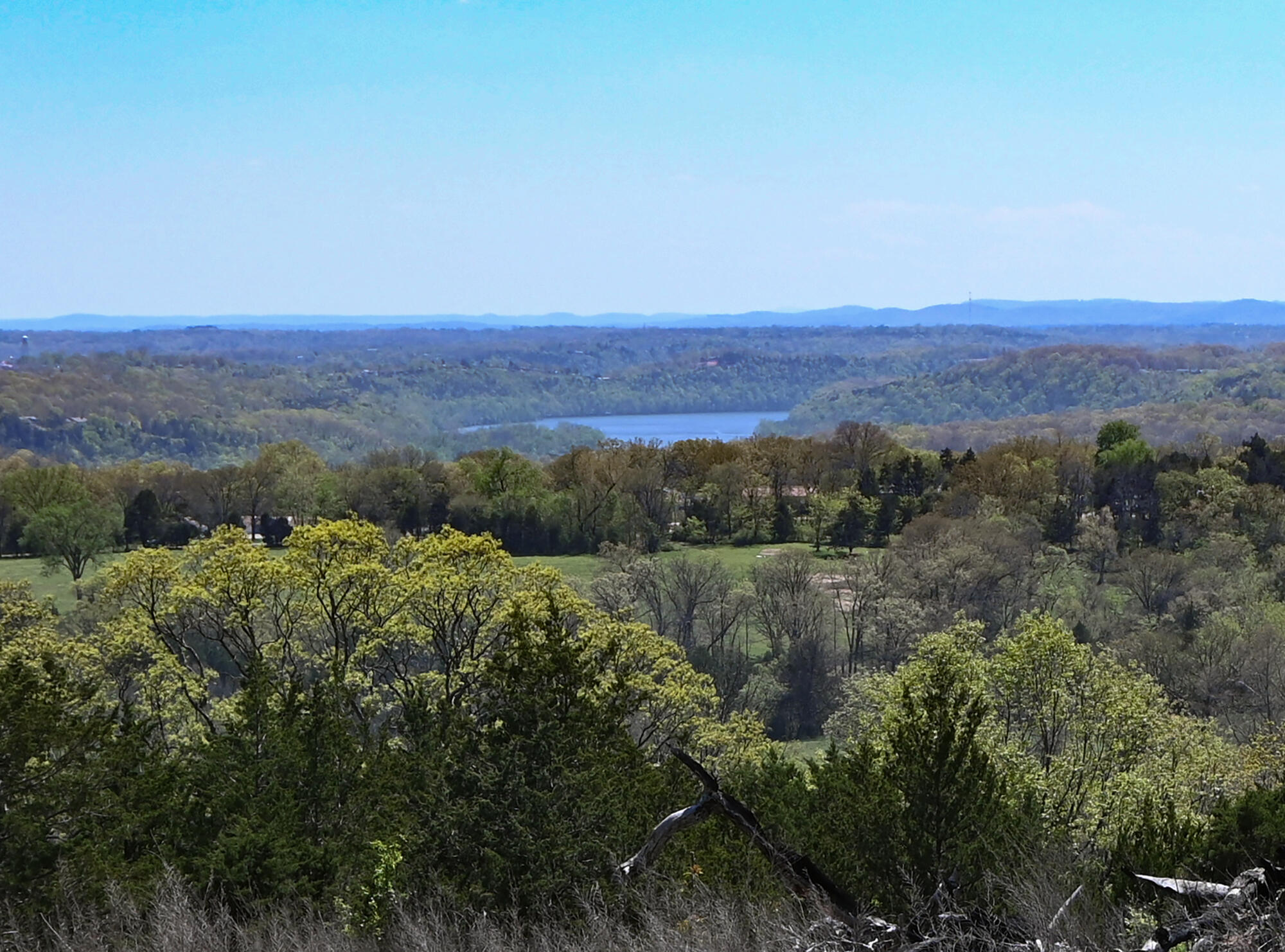 Photo 12 - Land for sale – 685  Ingenthron Lane  Forsyth, MO