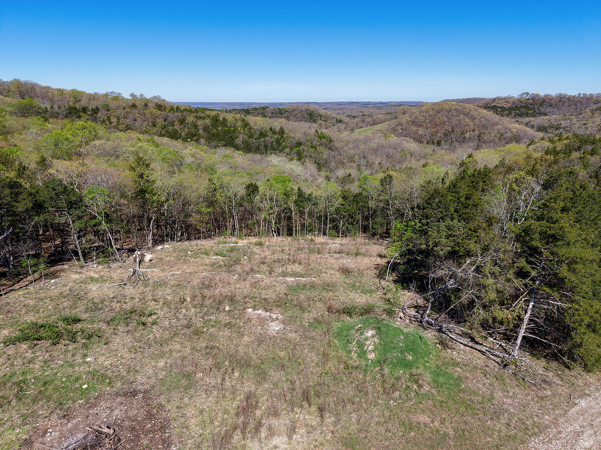 Photo 17 - Land for sale – 685  Ingenthron Lane  Forsyth, MO