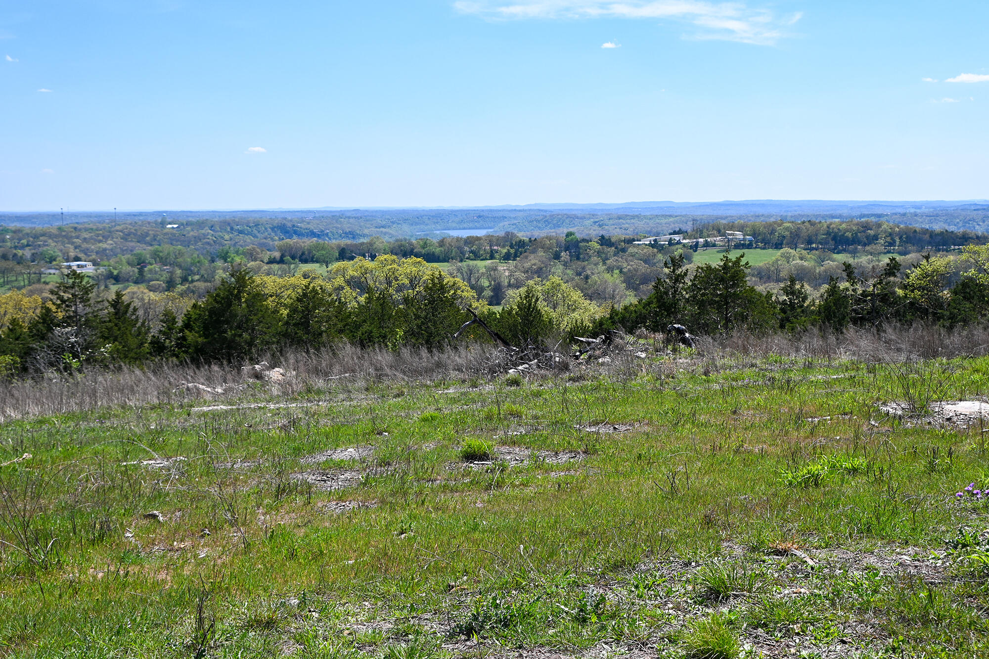 Photo 37 - Land for sale – 685  Ingenthron Lane  Forsyth, MO