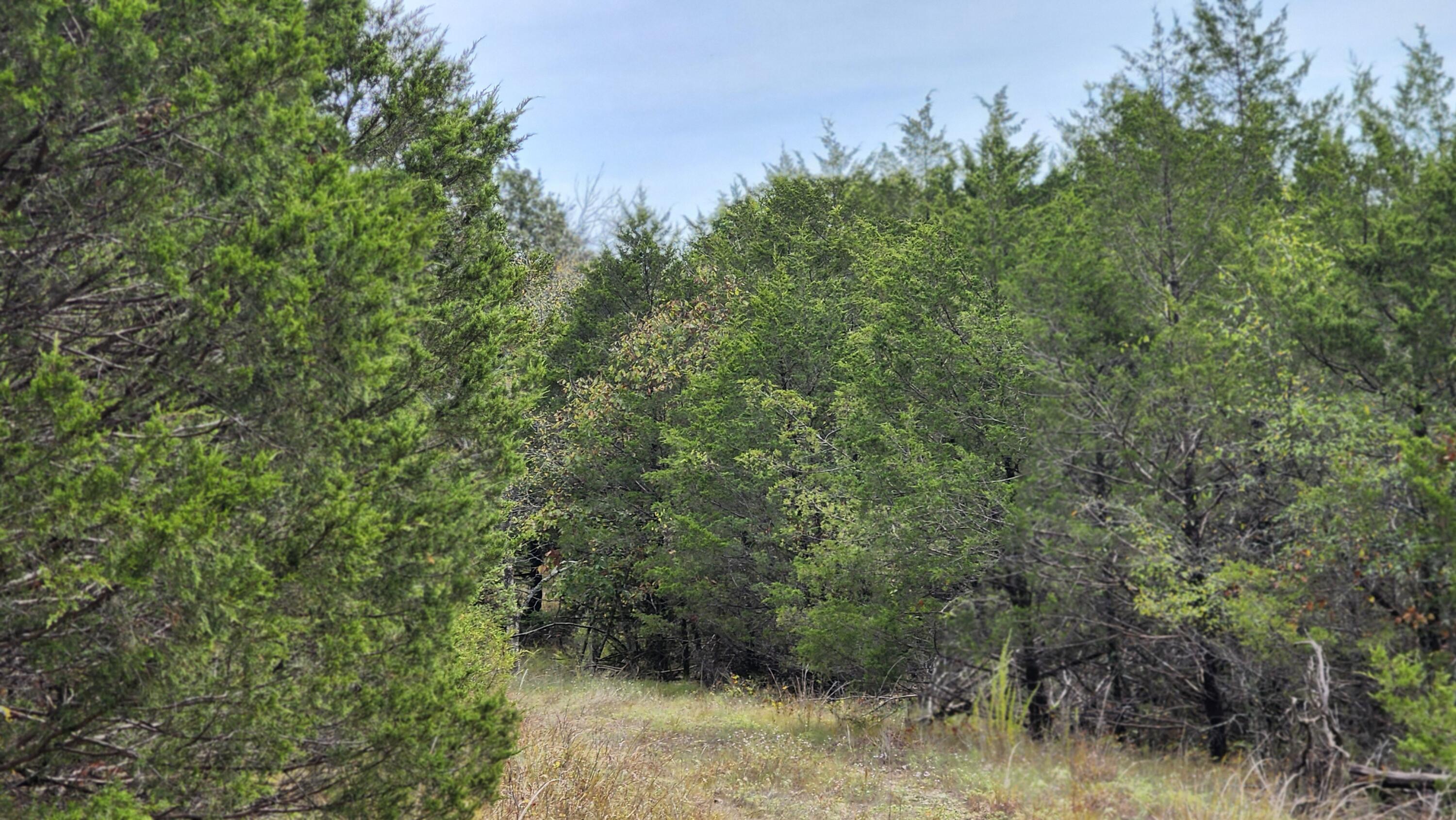 Photo 39 - Land for sale – 685  Ingenthron Lane  Forsyth, MO