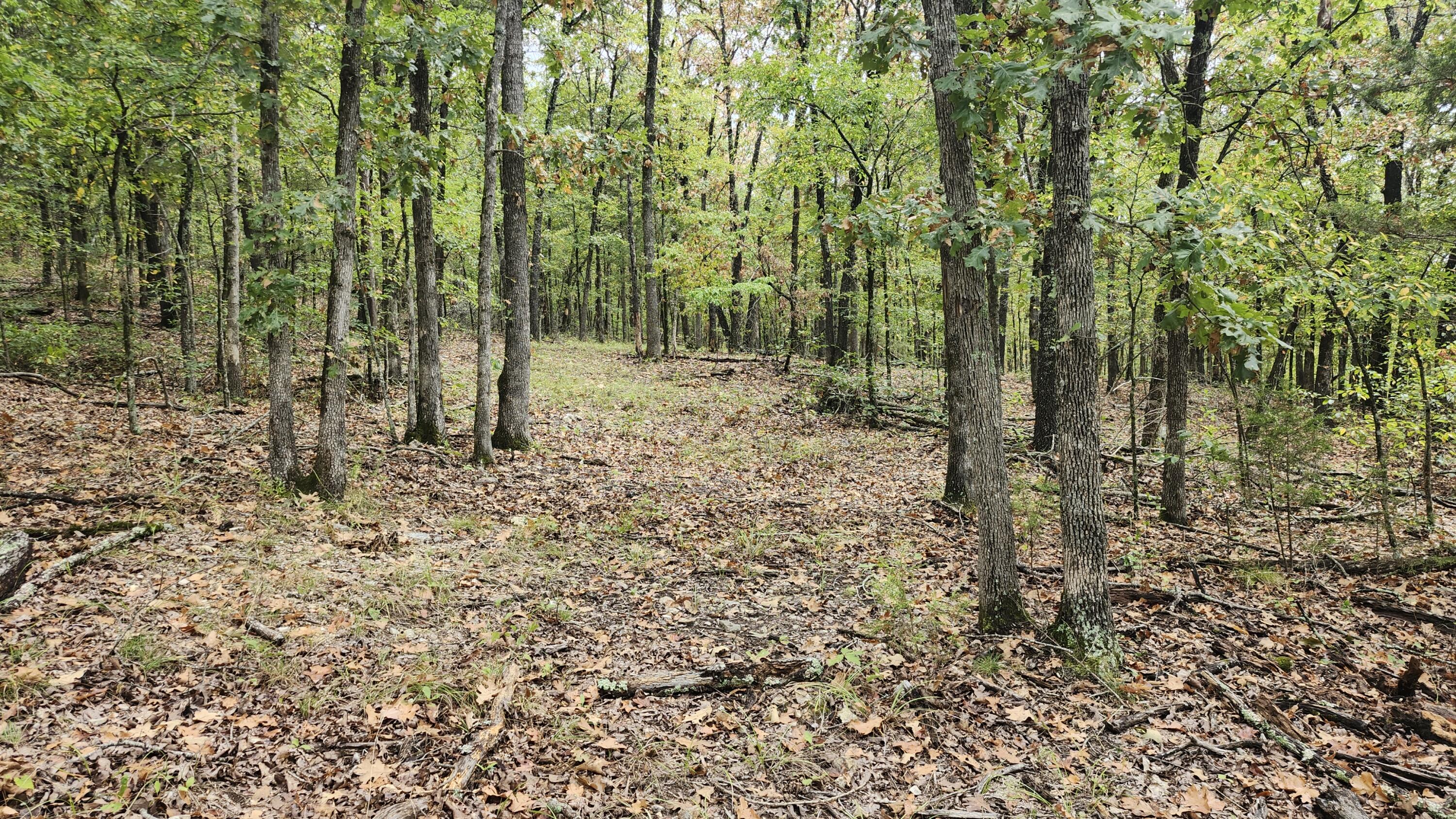 Photo 26 - Land for sale – 685  Ingenthron Lane  Forsyth, MO