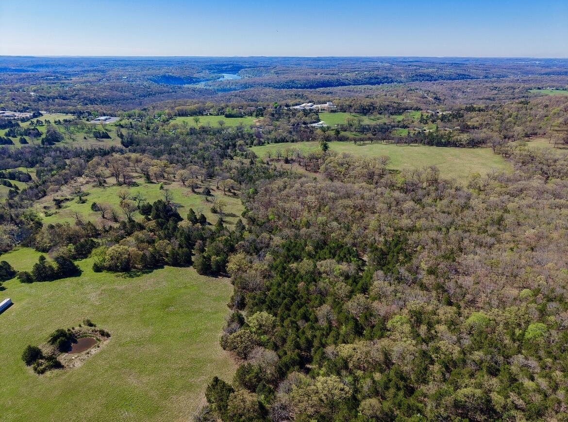Photo 9 - Land for sale – 685  Ingenthron Lane  Forsyth, MO