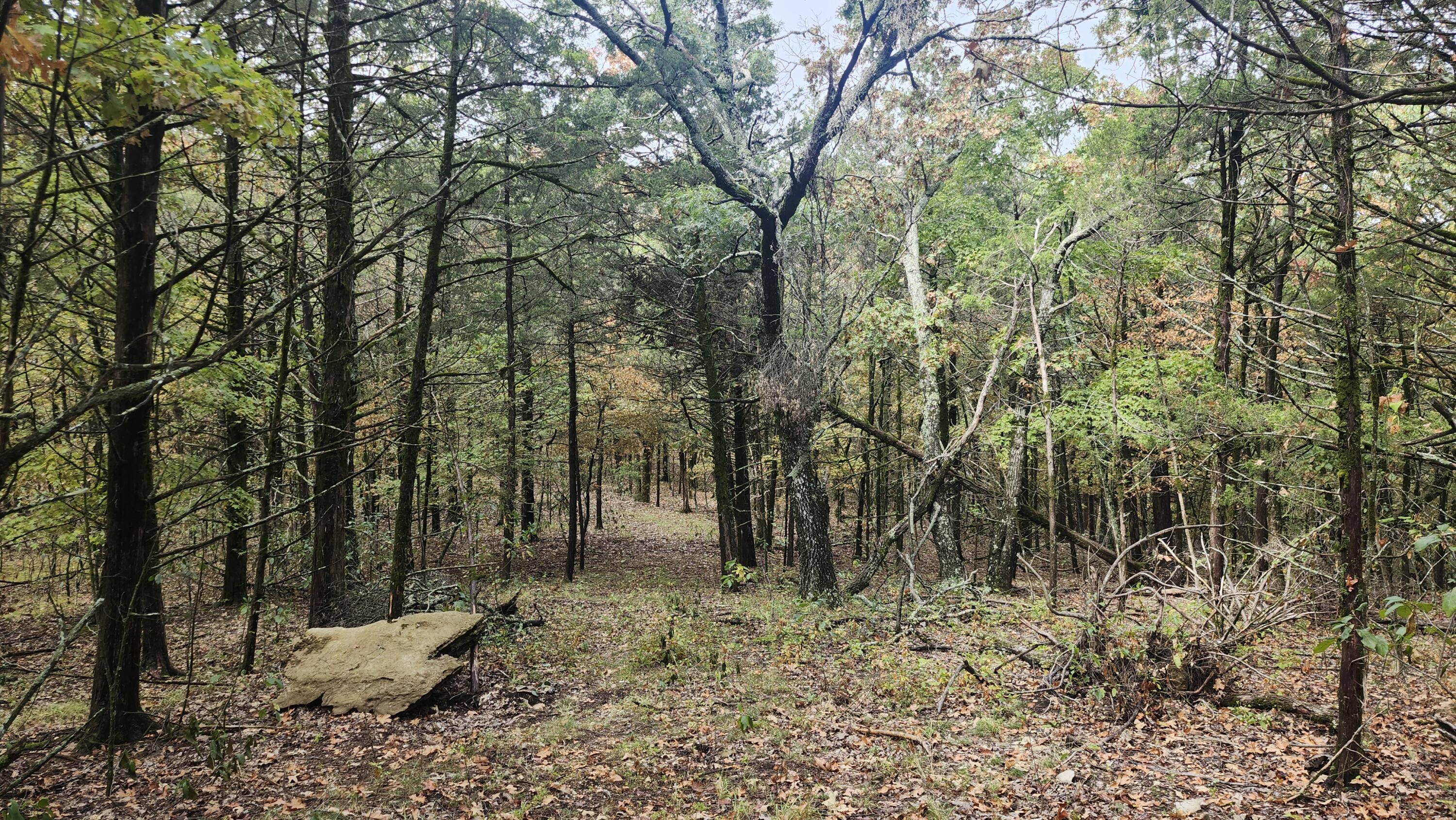 Photo 25 - Land for sale – 685  Ingenthron Lane  Forsyth, MO