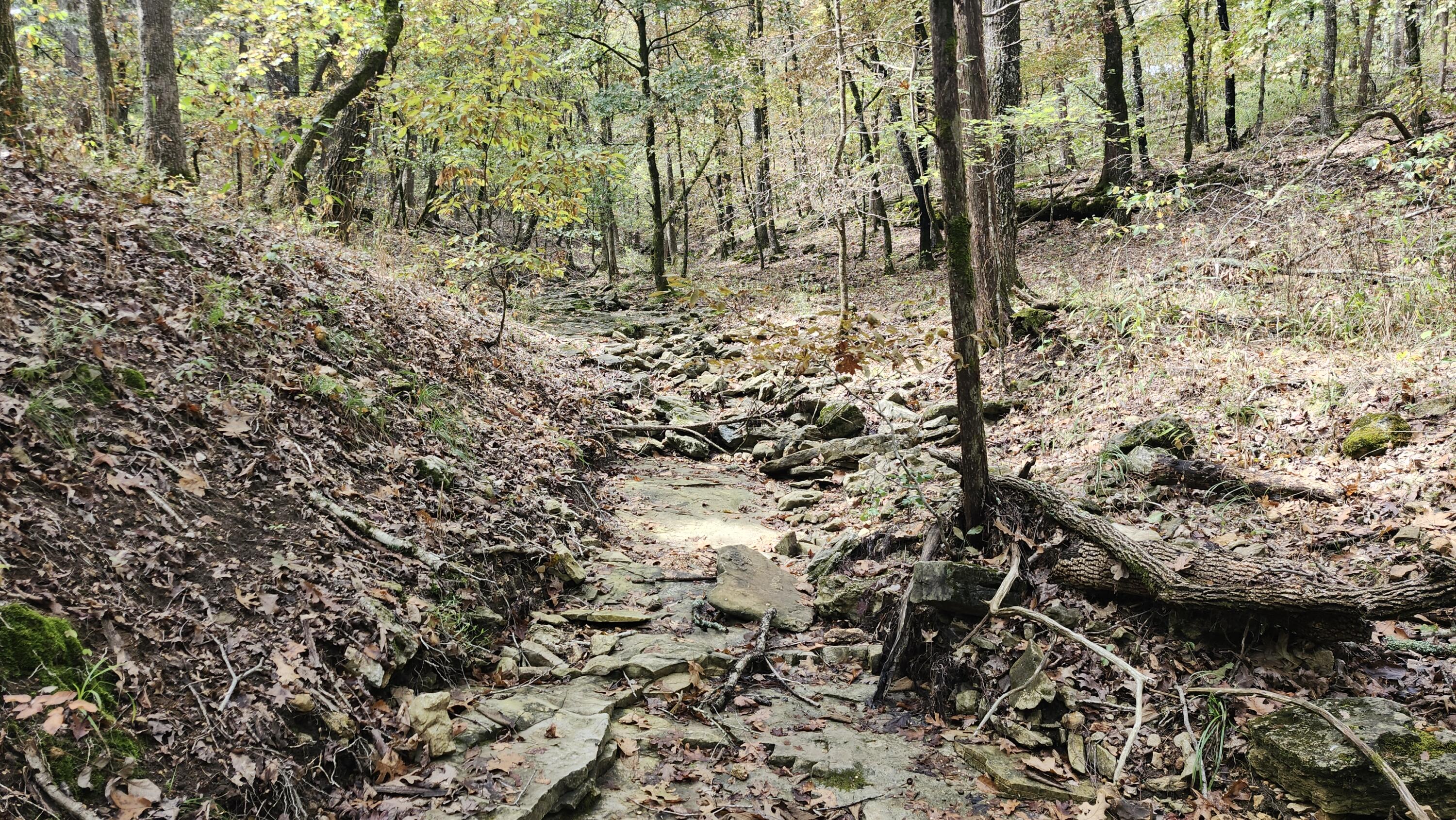 Photo 28 - Land for sale – 685  Ingenthron Lane  Forsyth, MO