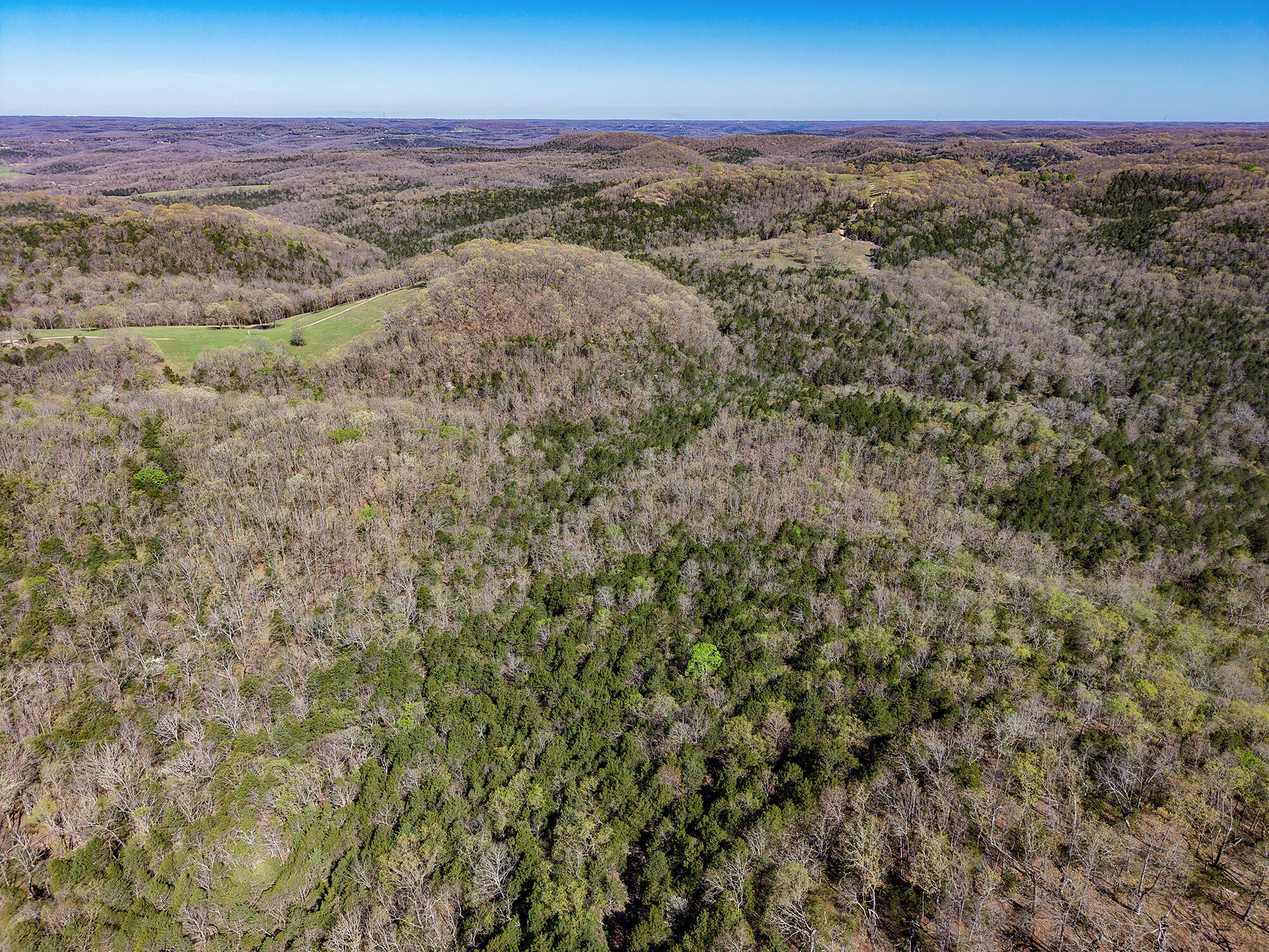 Photo 34 - Land for sale – 685  Ingenthron Lane  Forsyth, MO