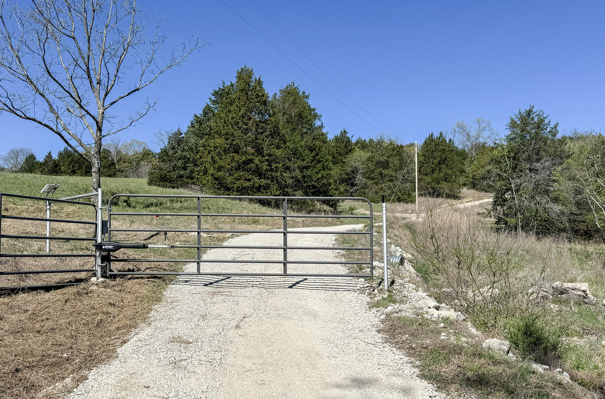 Photo 4 - Land for sale – 685  Ingenthron Lane  Forsyth, MO