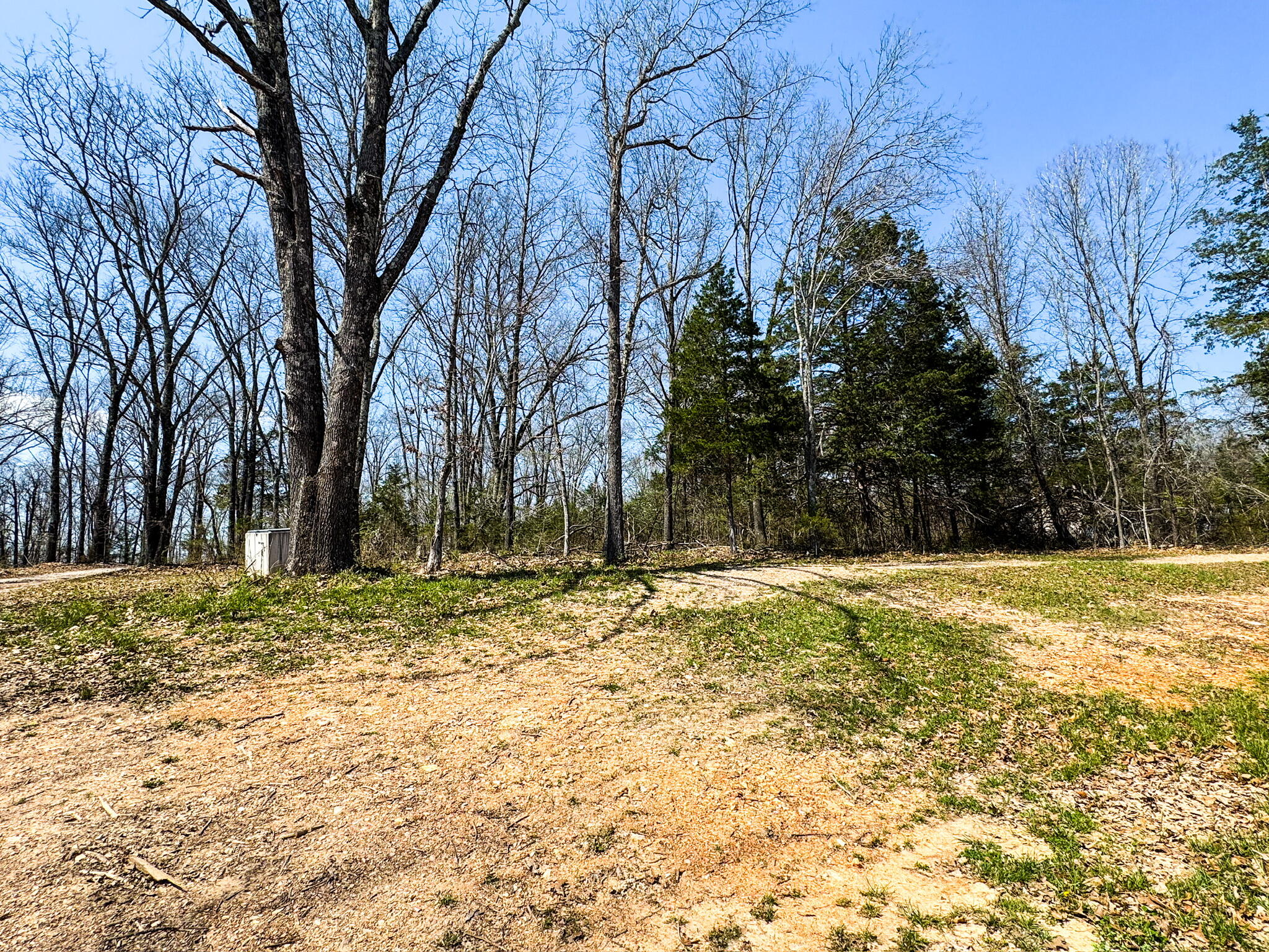 Photo 8 - Residential for sale – 290  Mccord Bend Road  Galena, MO