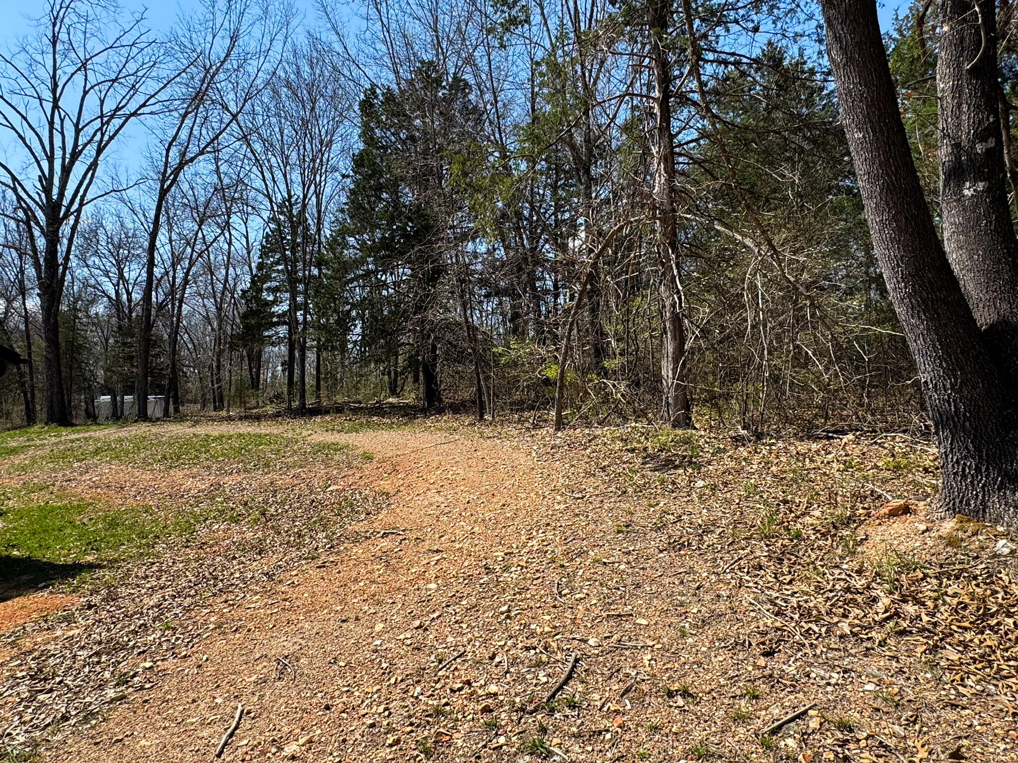 Photo 7 - Residential for sale – 290  Mccord Bend Road  Galena, MO