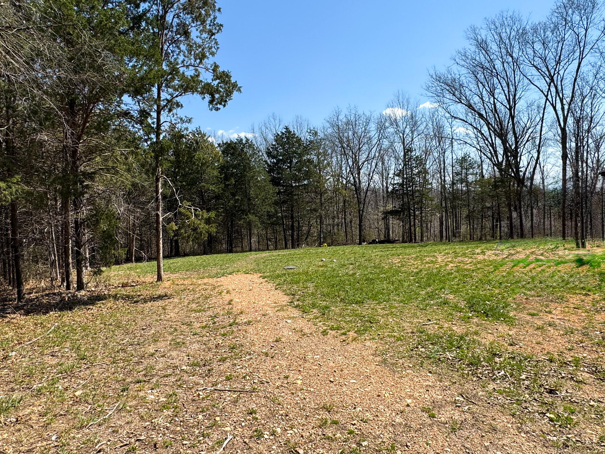 Photo 6 - Residential for sale – 290  Mccord Bend Road  Galena, MO
