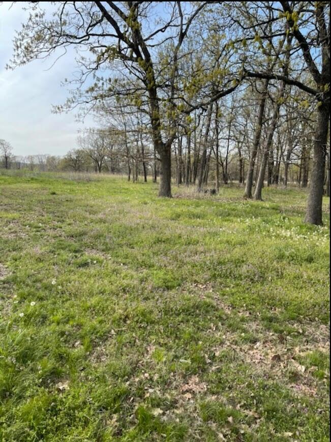 Photo 10 - Residential for sale – 9155 SW Highway 82   El Dorado Springs, MO