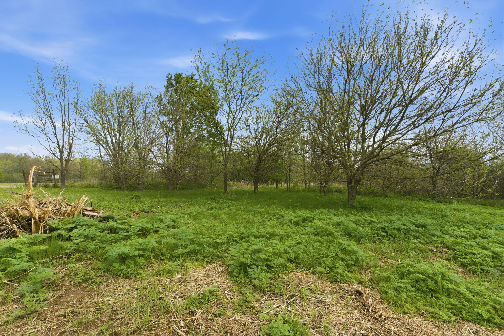 Photo 14 - Land for sale – 0 S Highway J   Stockton, MO