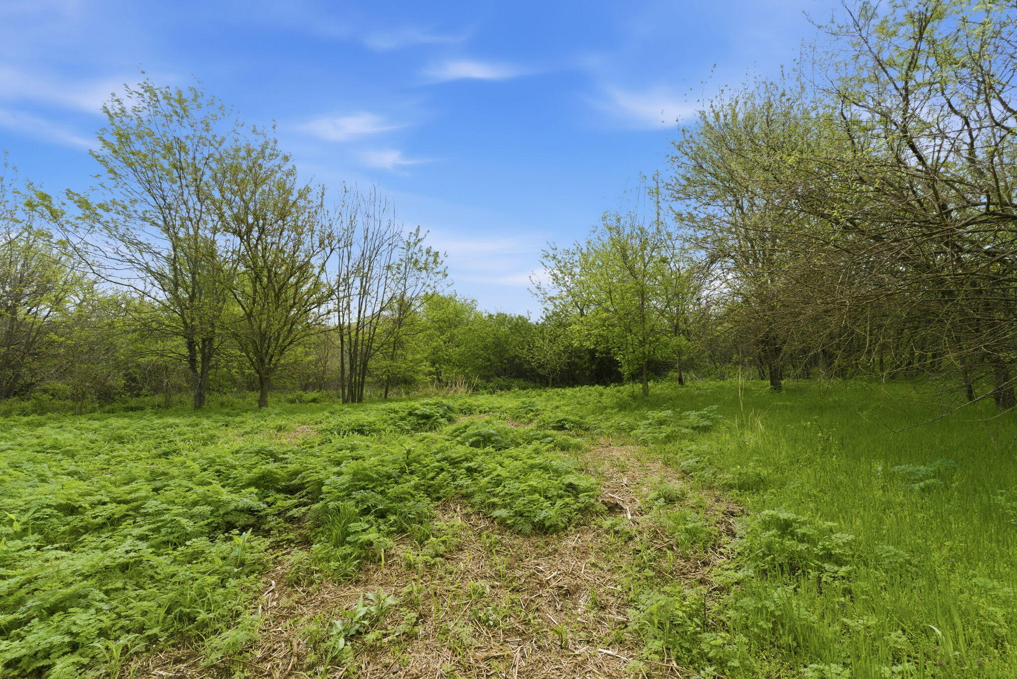 Photo 15 - Land for sale – 0 S Highway J   Stockton, MO