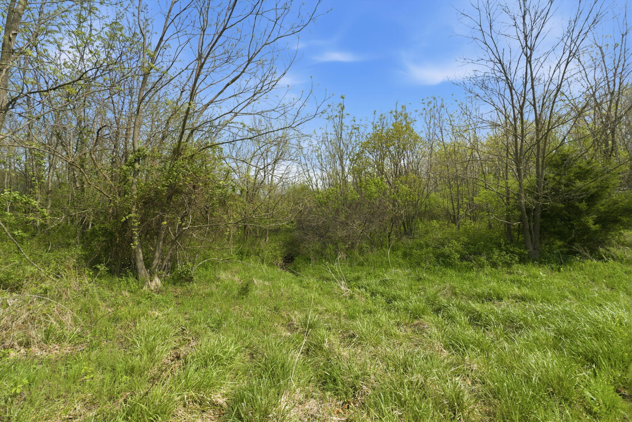 Photo 10 - Land for sale – 0 S Highway J   Stockton, MO