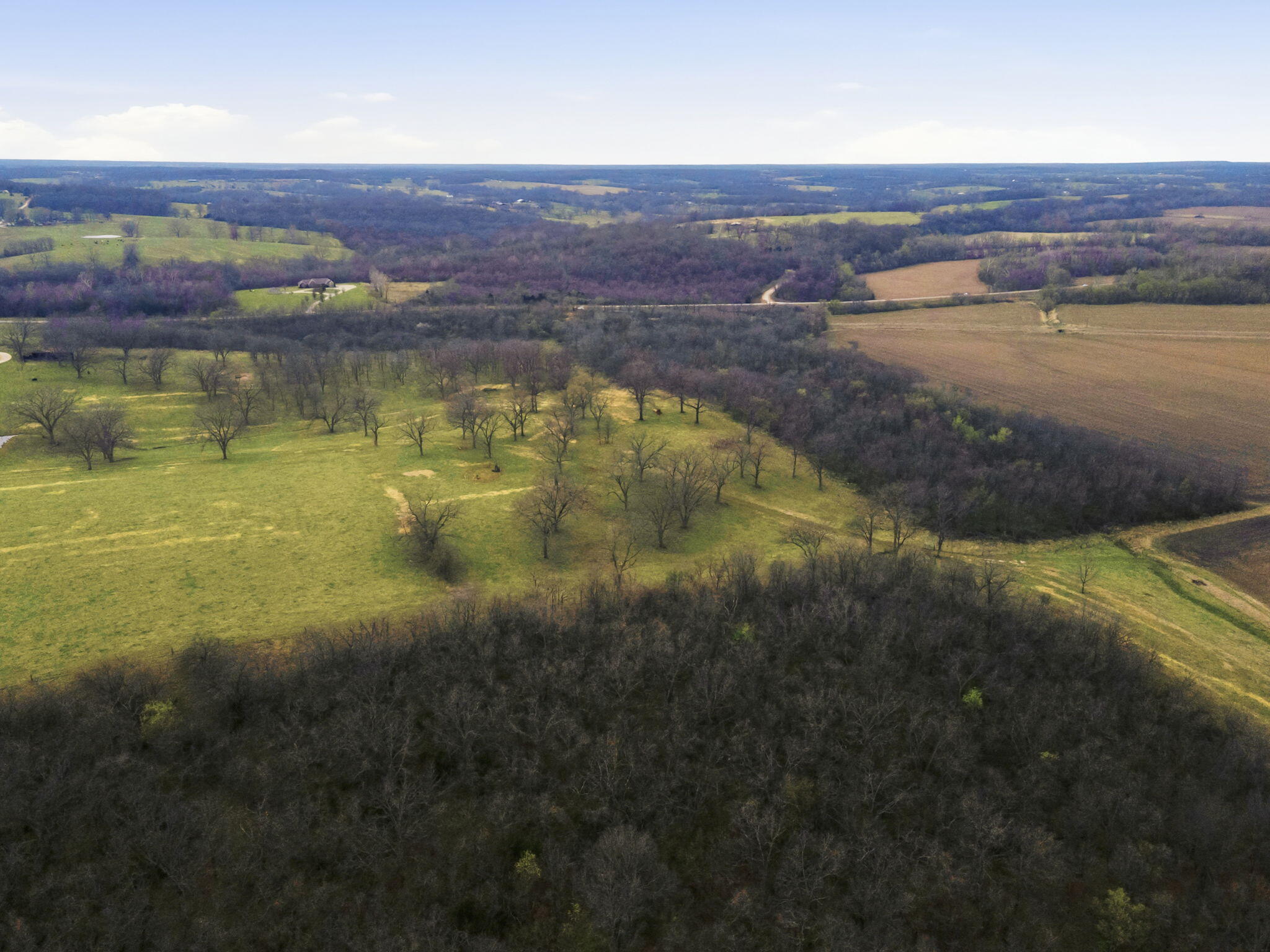Photo 6 - Land for sale – 0 S Highway J   Stockton, MO