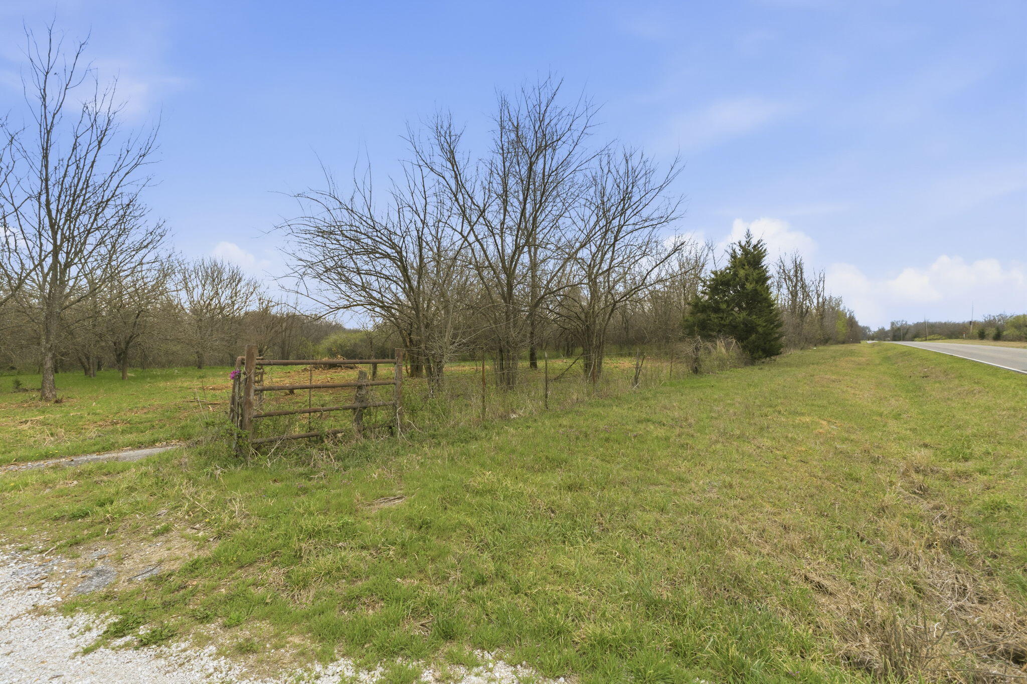 Photo 3 - Land for sale – 0 S Highway J   Stockton, MO