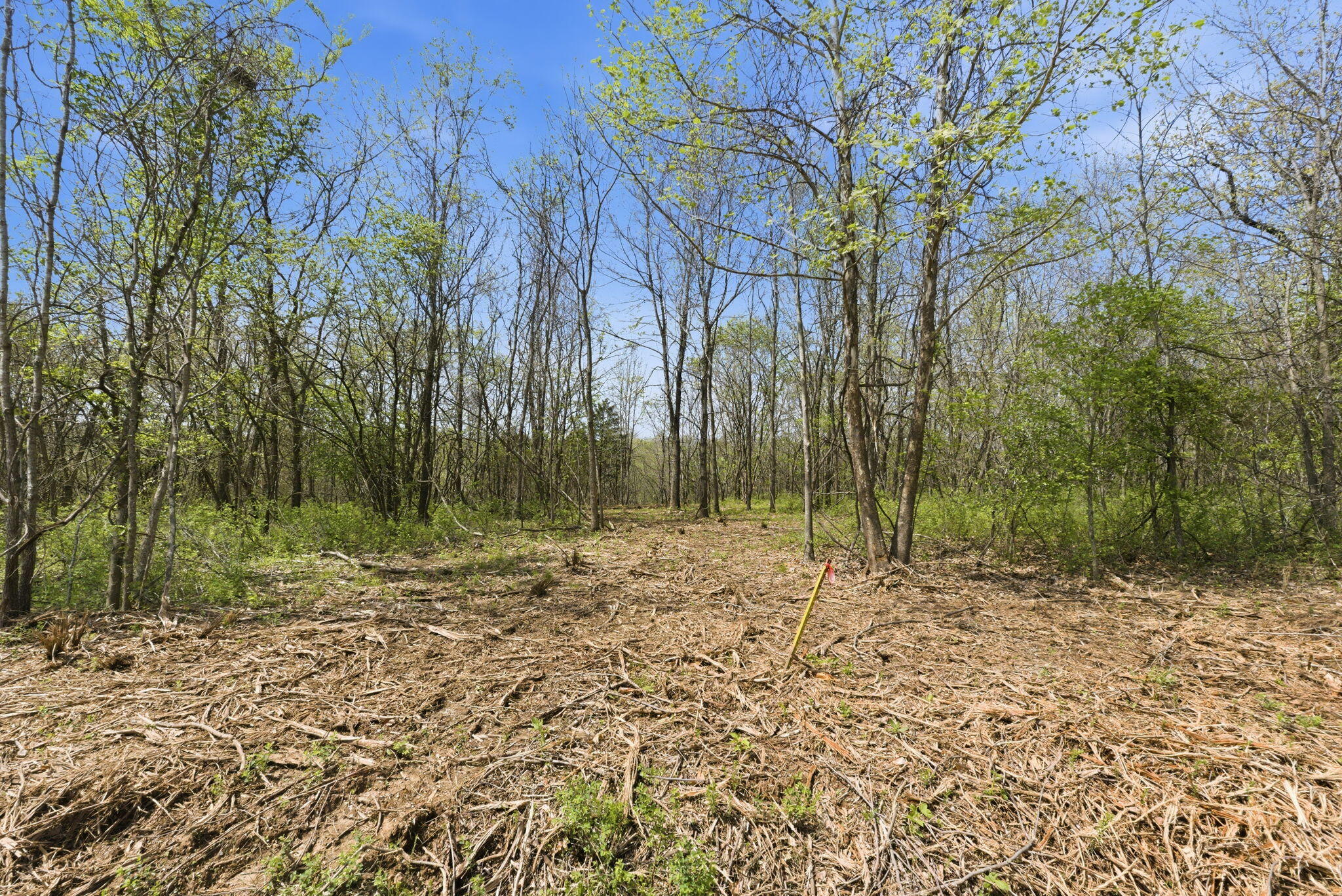Photo 11 - Land for sale – 0 S Highway J   Stockton, MO
