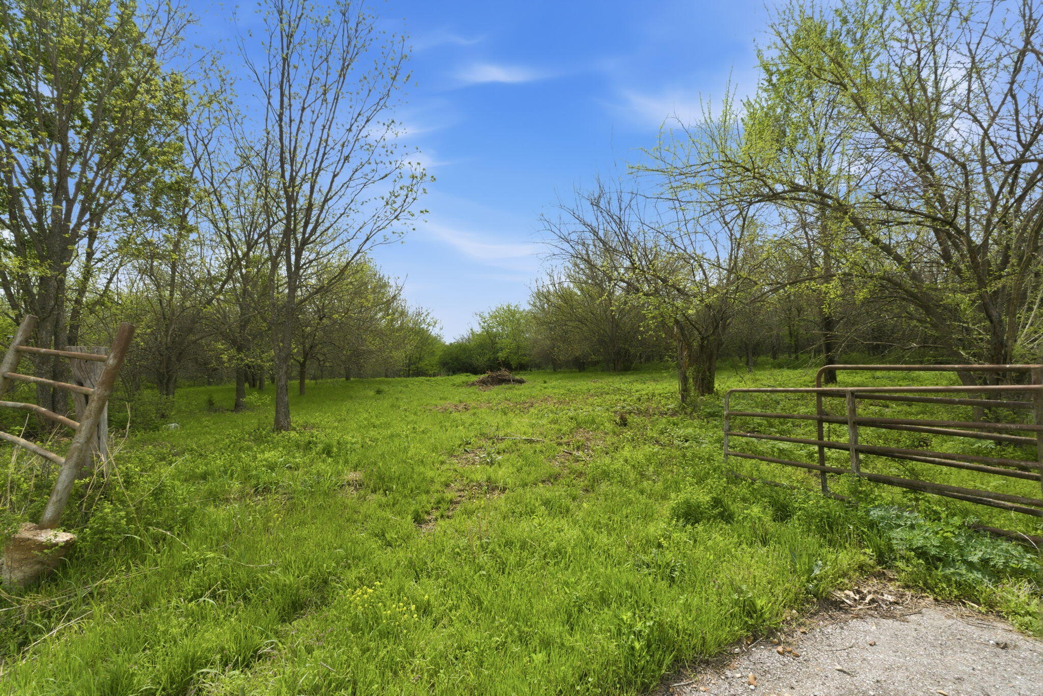 Photo 4 - Land for sale – 0 S Highway J   Stockton, MO