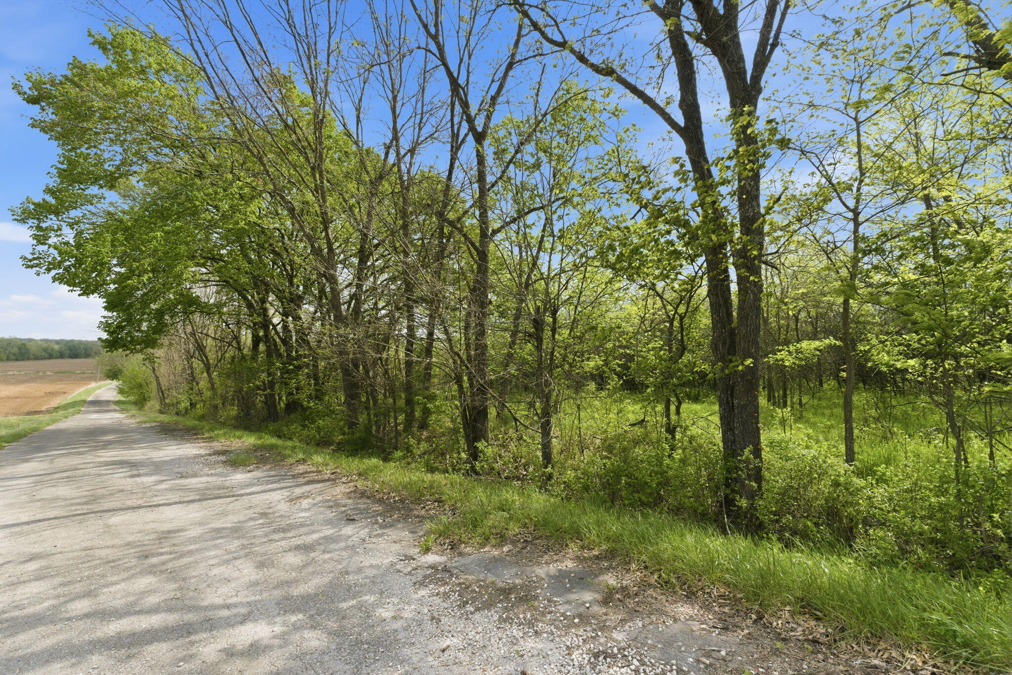 Photo 2 - Land for sale – 0 S Highway J   Stockton, MO