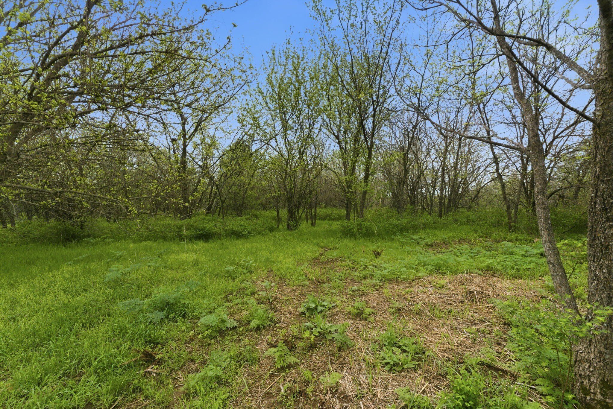 Photo 8 - Land for sale – 0 S Highway J   Stockton, MO