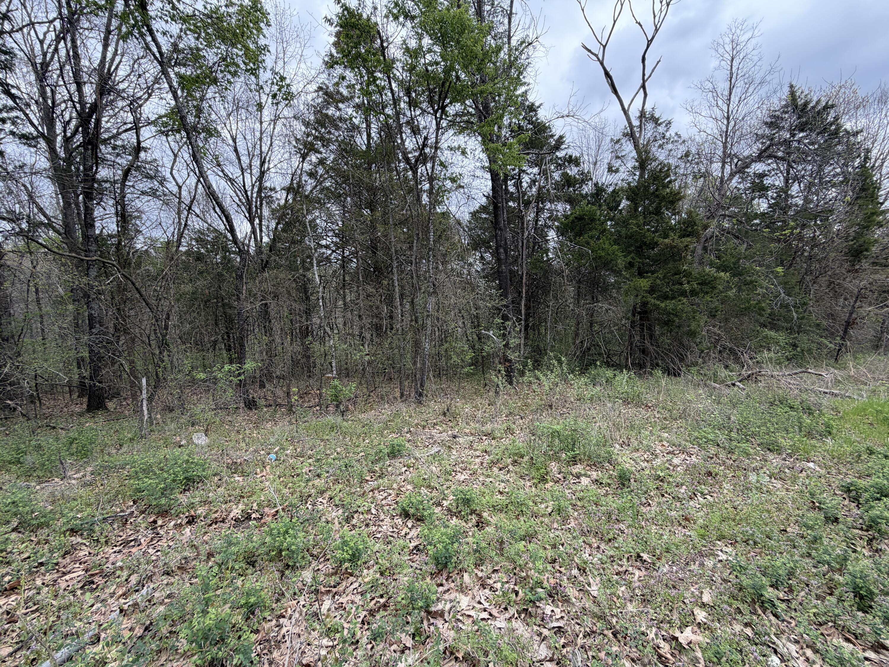 Land for sale – 001  Holiday Hills Drive  Cape Fair, MO