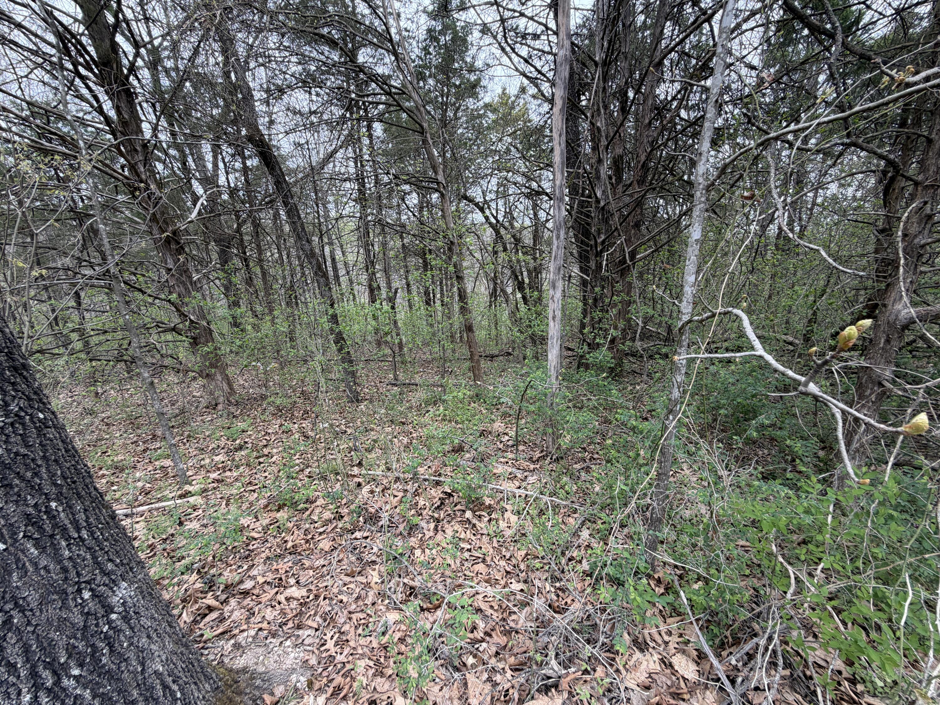 Photo 3 - Land for sale – 001  Holiday Hills Drive  Cape Fair, MO