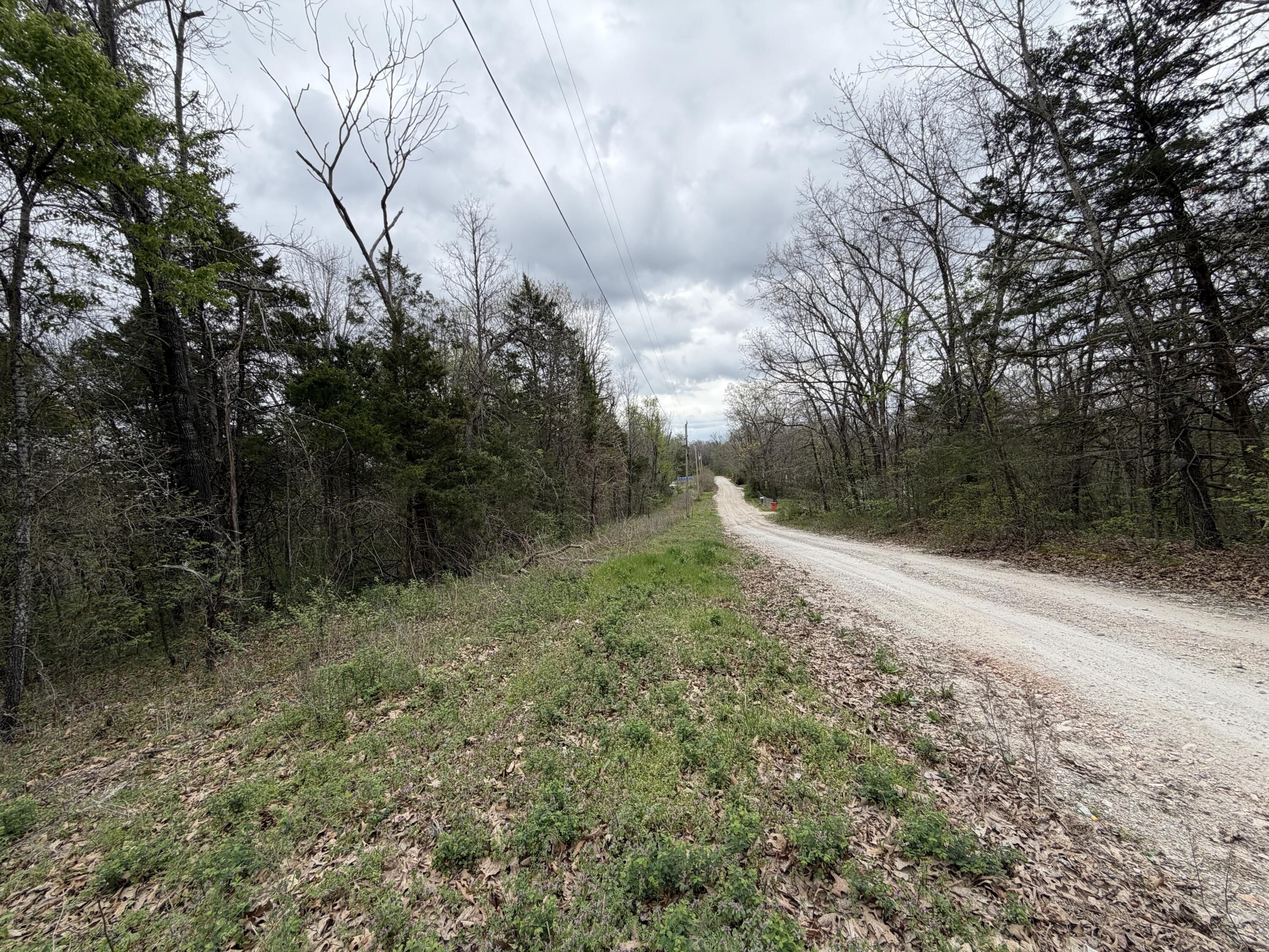 Photo 2 - Land for sale – 001  Holiday Hills Drive  Cape Fair, MO