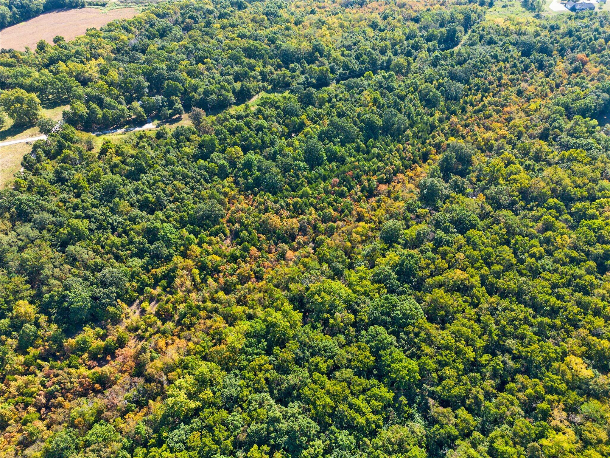 Photo 18 - Land for sale – Lot 6  Ireson Estates   Stockton, MO