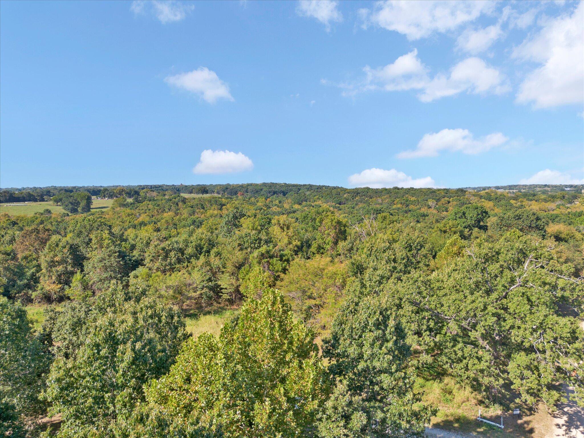 Photo 19 - Land for sale – Lot 6  Ireson Estates   Stockton, MO
